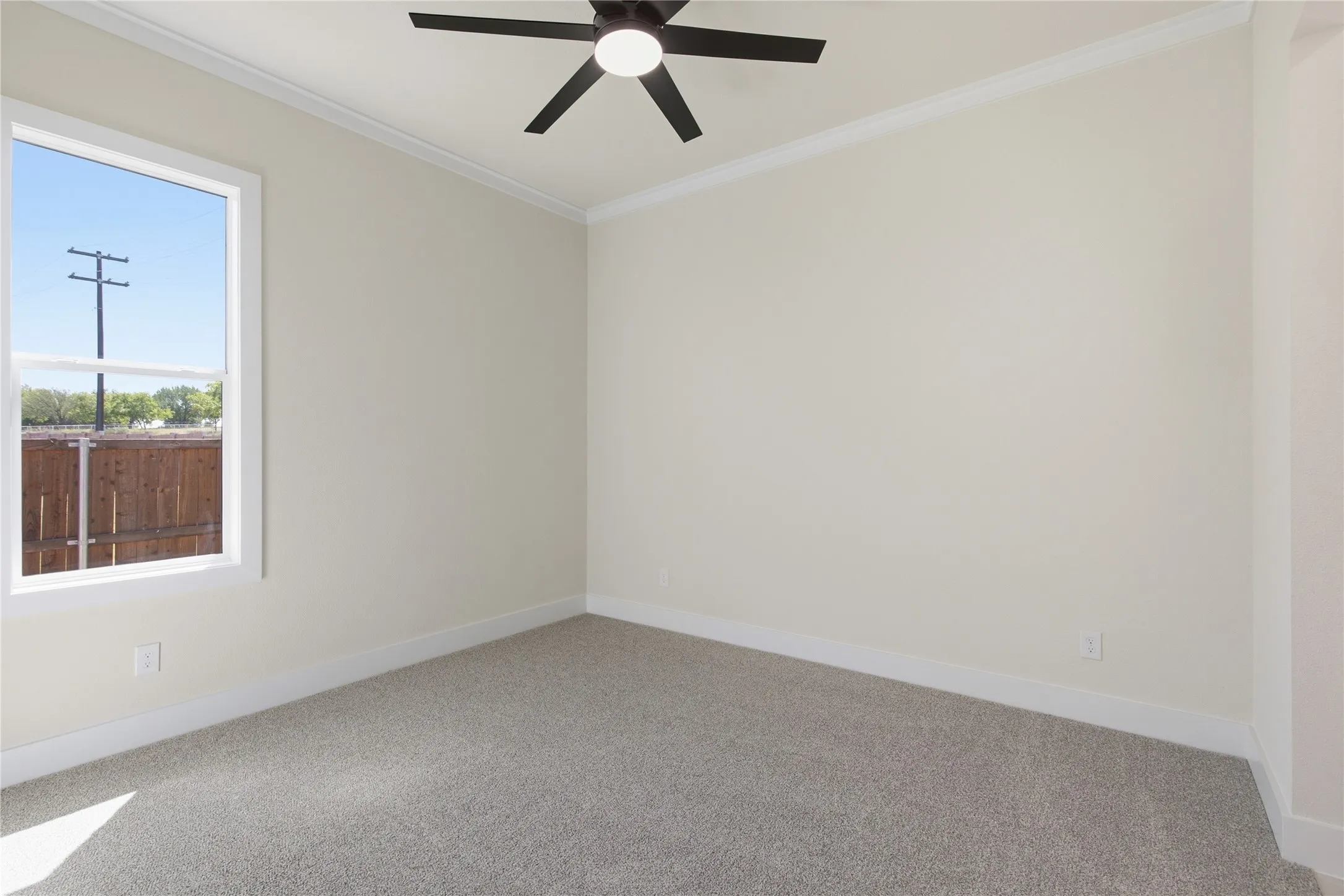 Neutral tone wall paint, crown molding, white trim, ceiling fan with light, and gray carpet