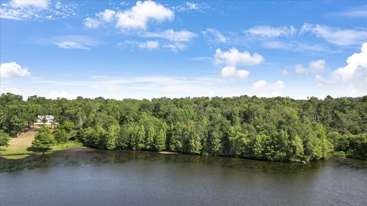 Unimproved Land For Sale in Upshur County , TBD PR 4080, Gilmer, Texas 75644, 0, 0, Garage spaces, 0 Sqft, built in 0, mls#21202822, Real Estate Agent in Gilmer, Homes For Sale in Upshur county, Homes For Sale in Gilmer, Realtor in Gilmer Texas, Real Estate Brokerage Independent Realty Texas, Luminita Cordes Realtor