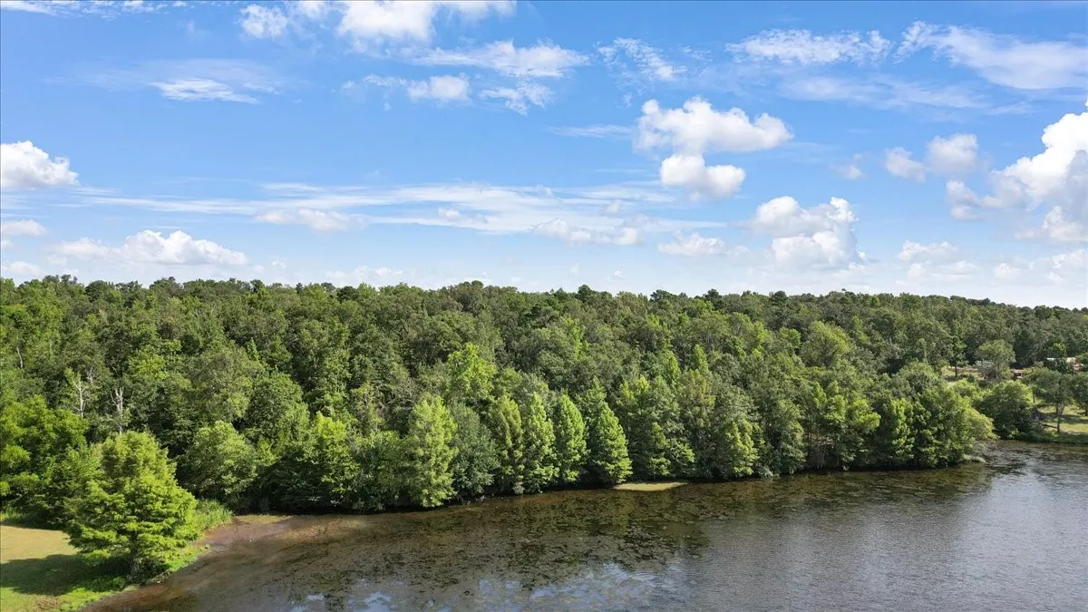 Unimproved Land For Sale in Upshur County , TBD PR 4080, Gilmer, Texas 75644, 0, 0, Garage spaces, 0 Sqft, built in 0, mls#21202822, Real Estate Agent in Gilmer, Homes For Sale in Upshur county, Homes For Sale in Gilmer, Realtor in Gilmer Texas, Real Estate Brokerage Independent Realty Texas, Luminita Cordes Realtor