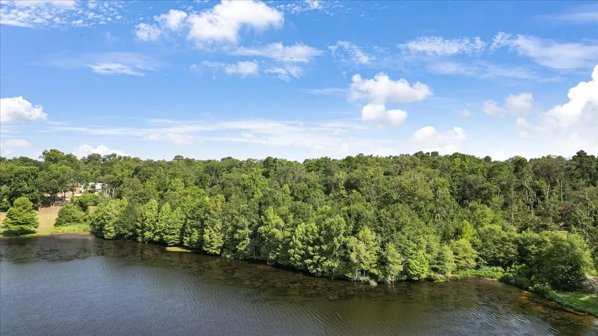 Unimproved Land For Sale in Upshur County , TBD PR 4080, Gilmer, Texas 75644, 0, 0, Garage spaces, 0 Sqft, built in 0, mls#21202822, Real Estate Agent in Gilmer, Homes For Sale in Upshur county, Homes For Sale in Gilmer, Realtor in Gilmer Texas, Real Estate Brokerage Independent Realty Texas, Luminita Cordes Realtor