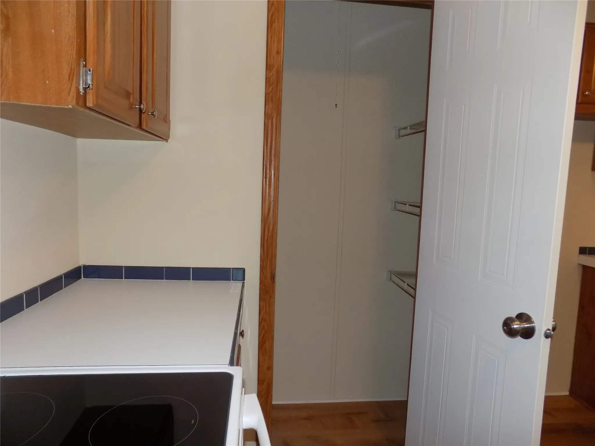 View of kitchen pantry.