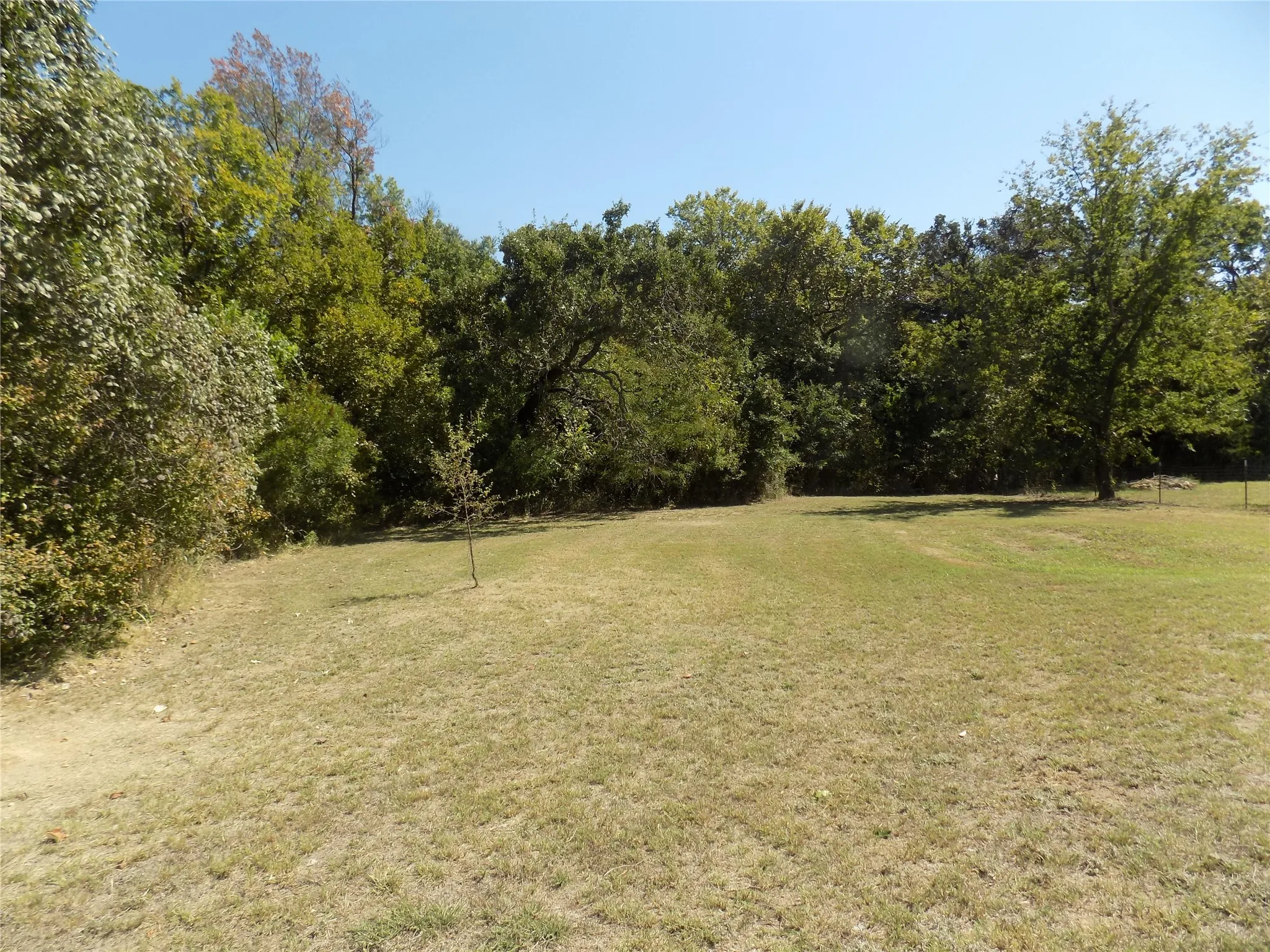 Beautiful yard view.