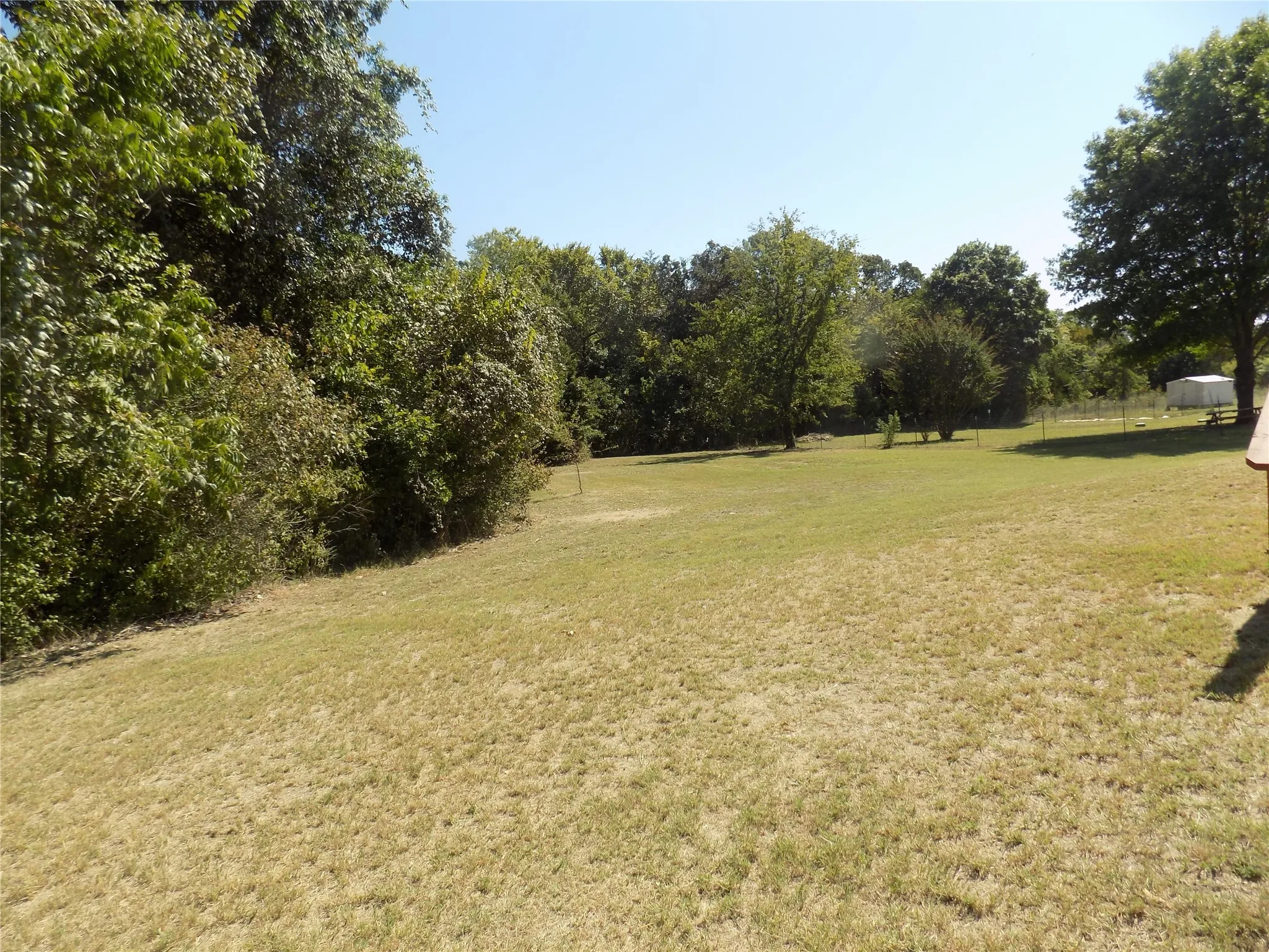 Another view of beautiful yard.
