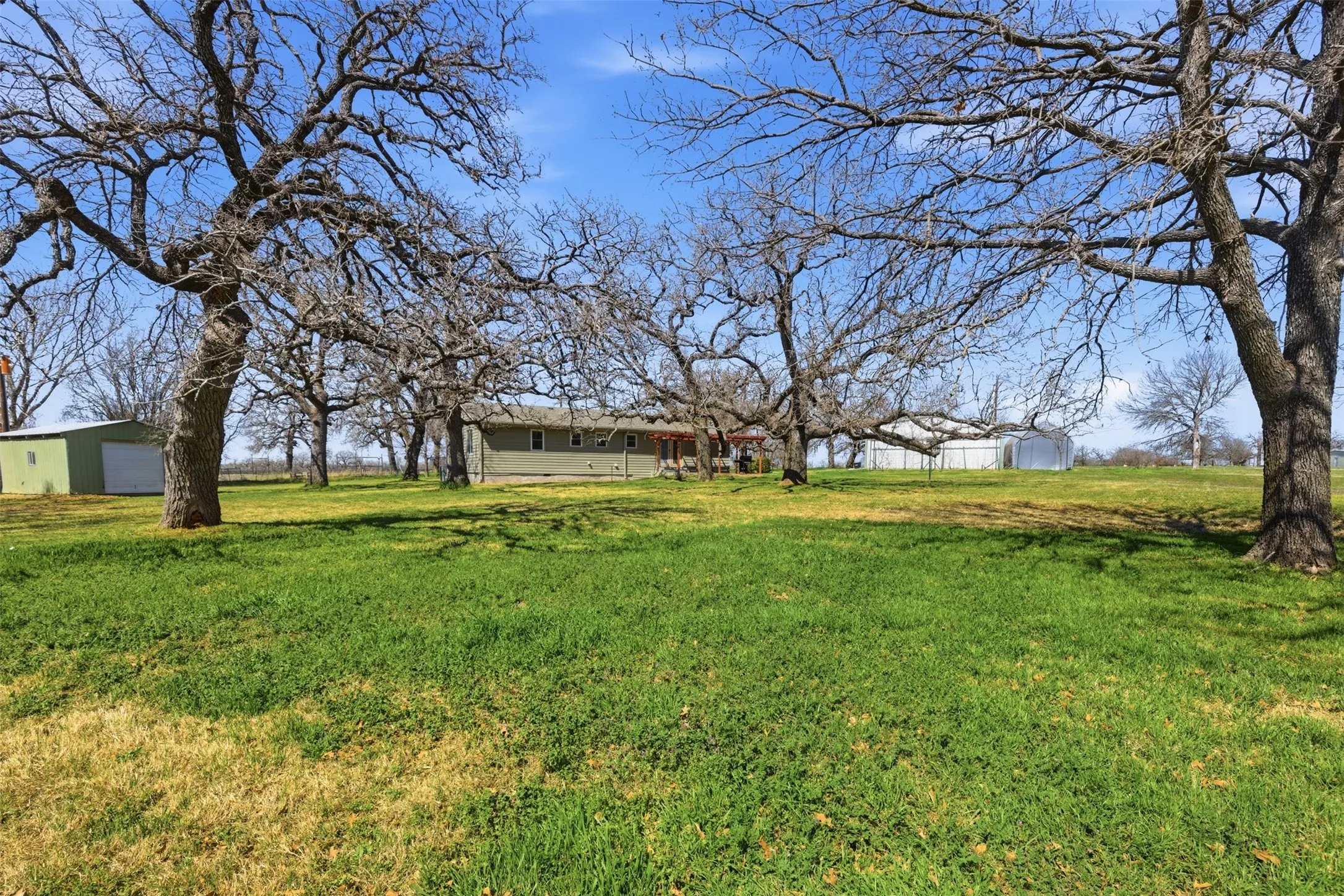 View of civil war era trees...lovely!
