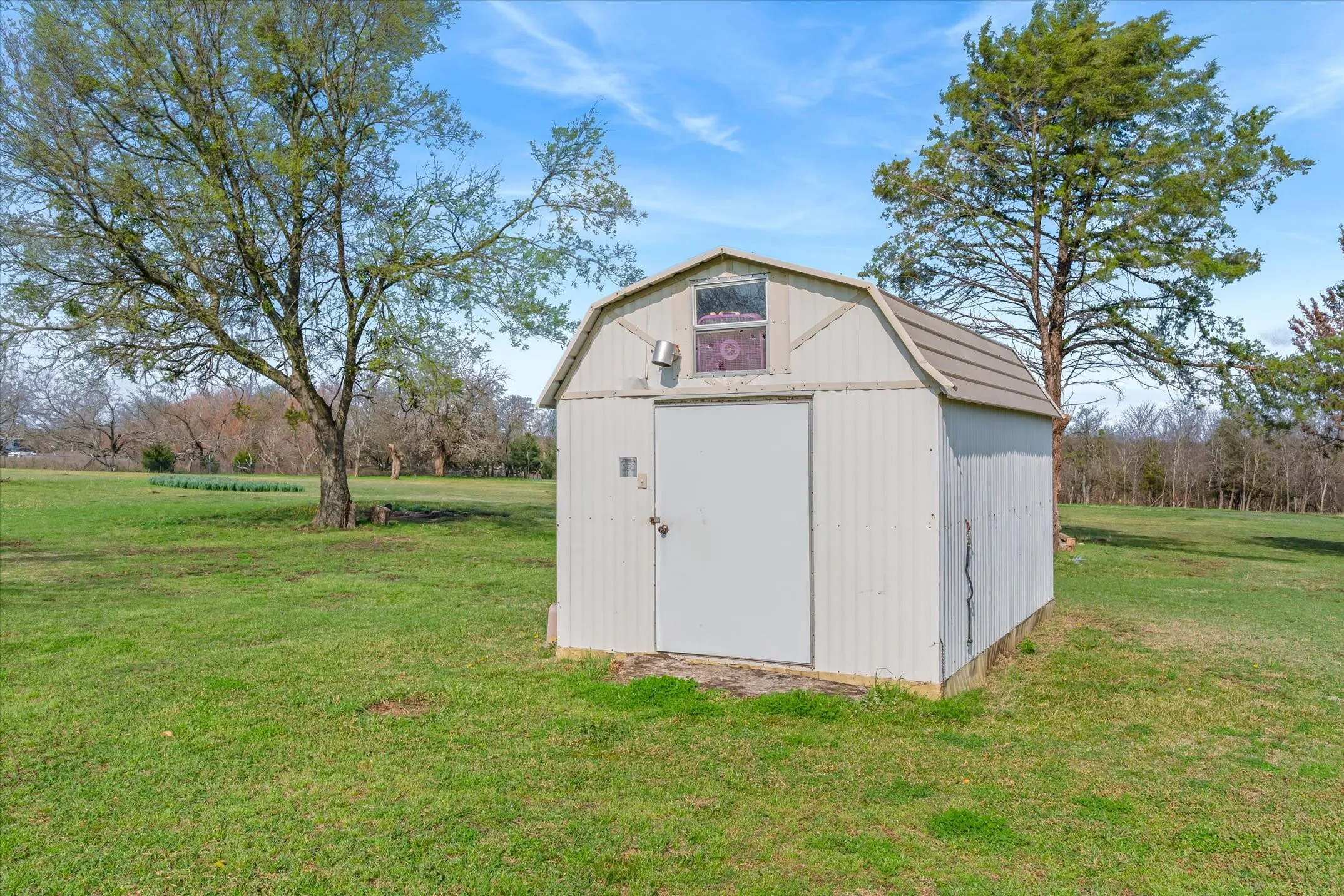 View of shed