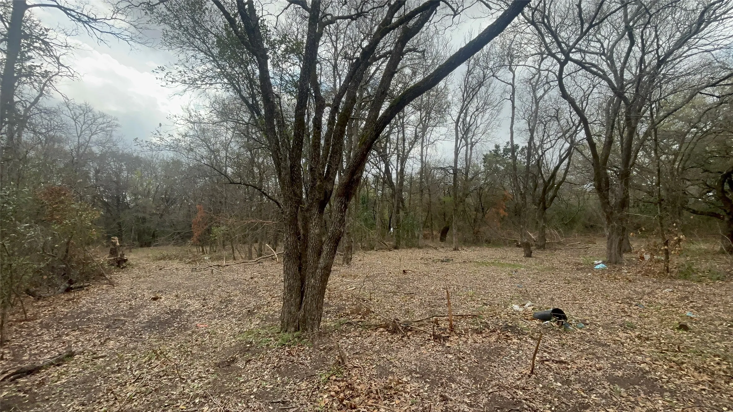 View of nature