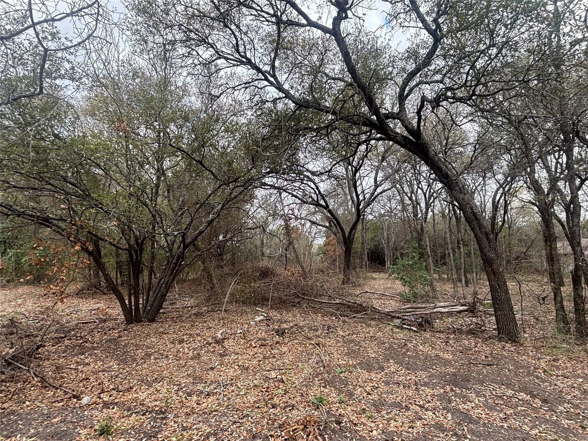 View of nature