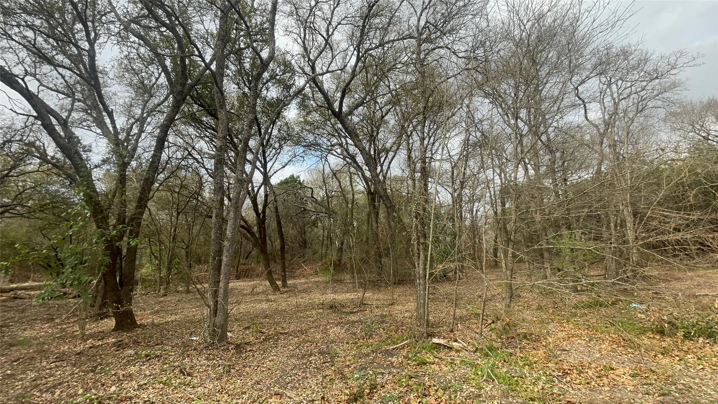 View of nature