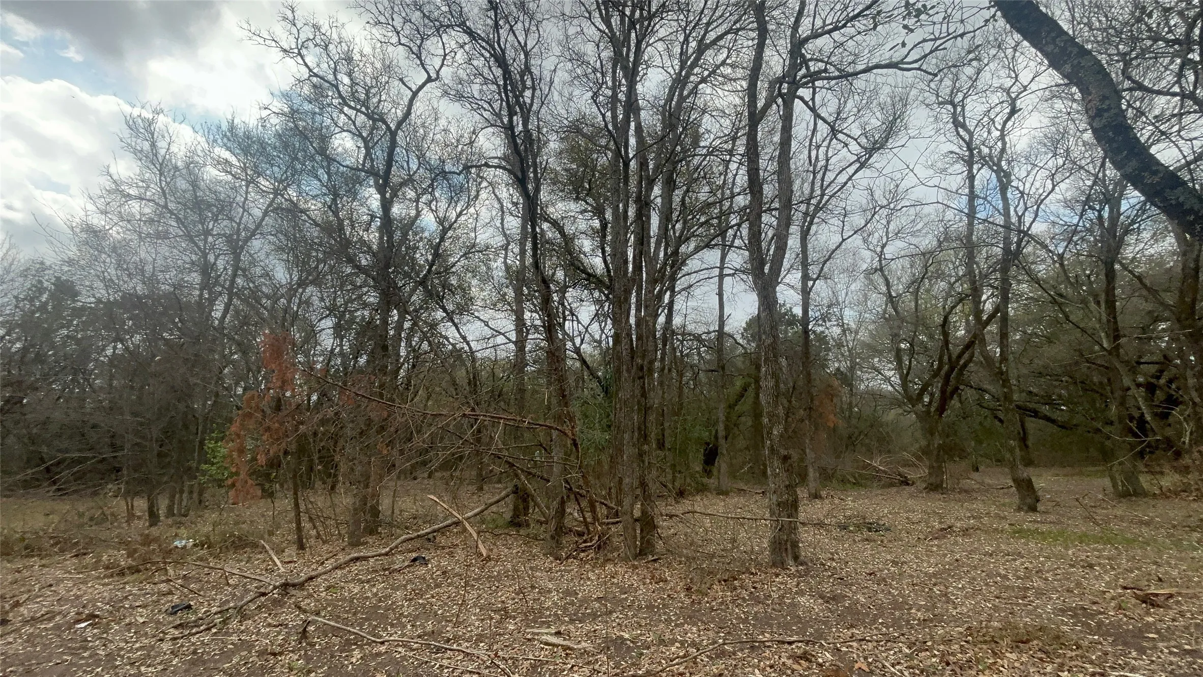 View of undeveloped land