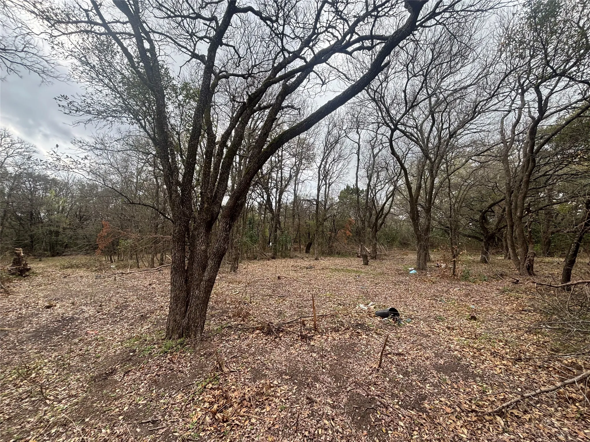 Improved Land For Sale in Mc Lennan County , 000 VIRGINIA, Waco, Texas 76705, 0, 0, Garage spaces, 0 Sqft, built in 0, Price $60,000, mls#21203189, Real Estate Agent in Waco, Homes For Sale in Mc Lennan county, Homes For Sale in Waco, Realtor in Waco Texas, Real Estate Brokerage Independent Realty Texas, Luminita Cordes Realtor