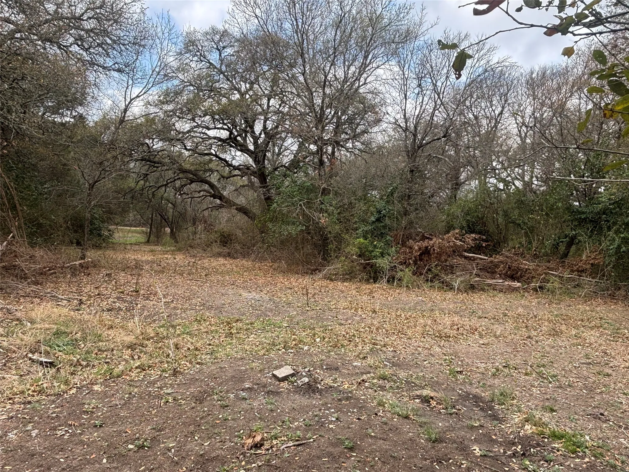 View of undeveloped land