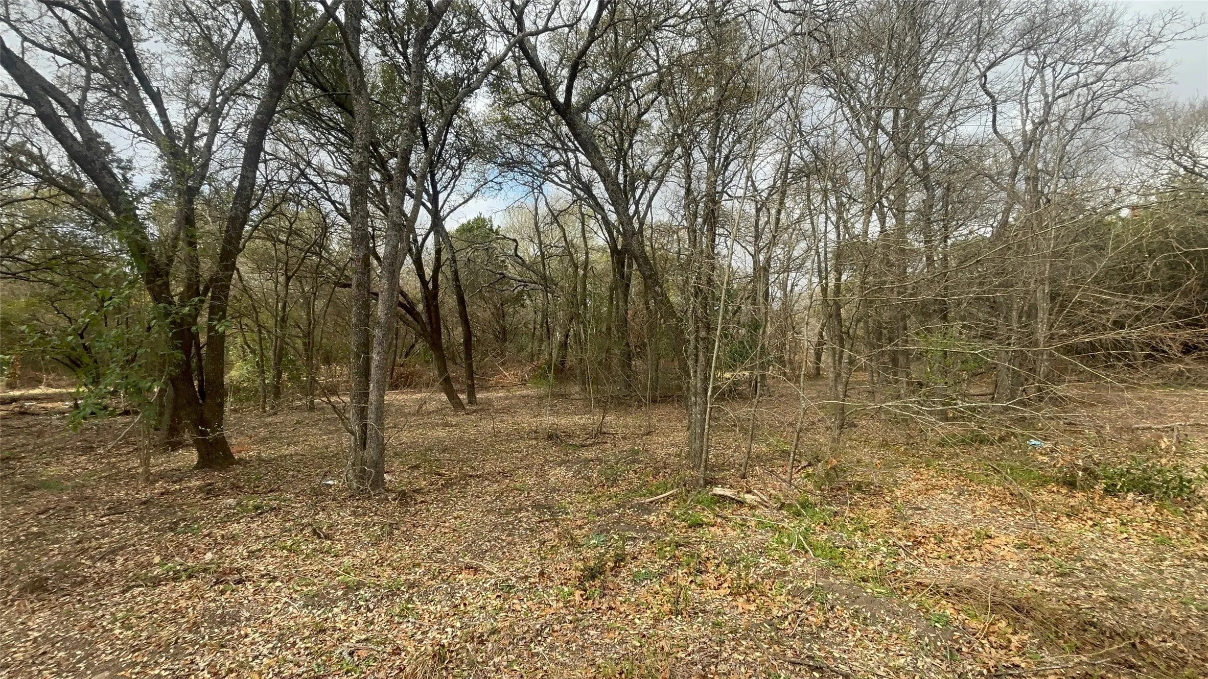 View of undeveloped land