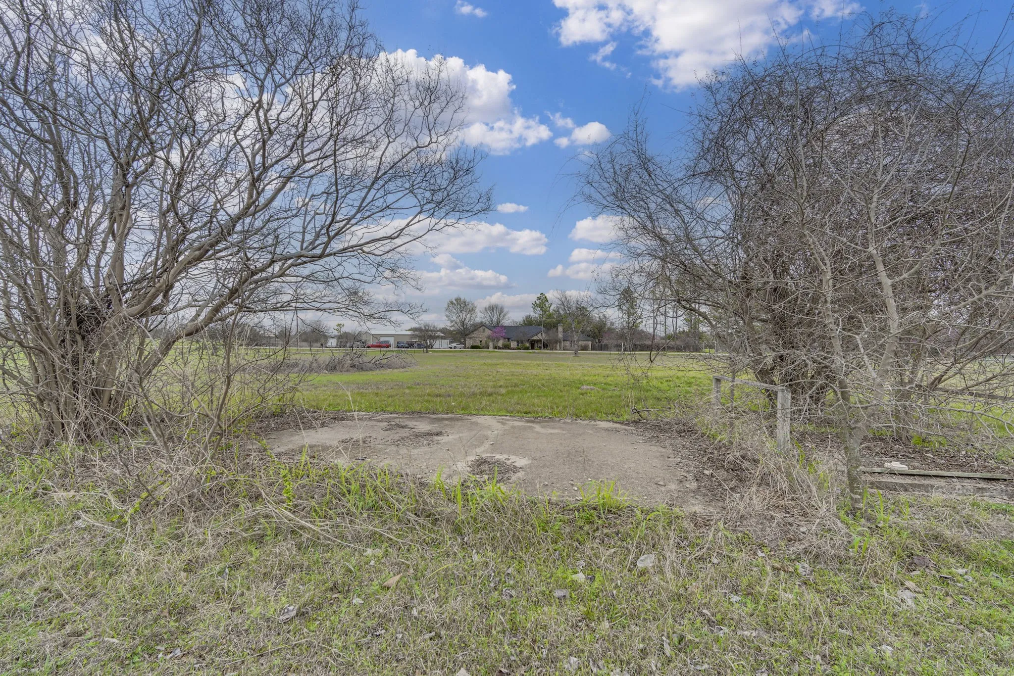 View of grassy yard