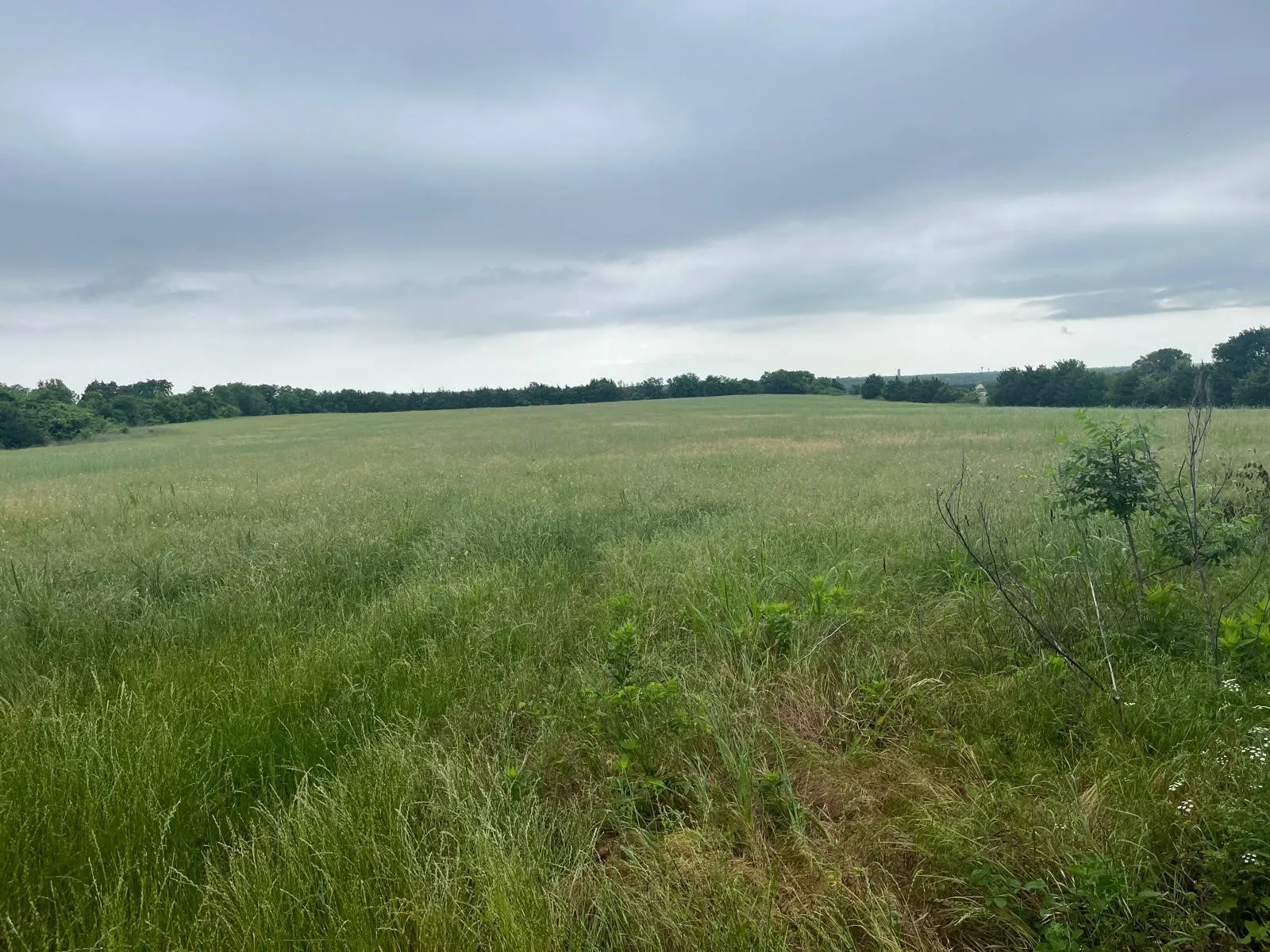 Unimproved Land For Sale in Collin County , 33.48 Cr-547, Nevada, Texas 75173, 0, 0, Garage spaces, 0 Sqft, built in 0, Price $3,348,000, mls#21202585, Real Estate Agent in Nevada, Homes For Sale in Collin county, Homes For Sale in Nevada, Realtor in Nevada Texas, Real Estate Brokerage Independent Realty Texas, Luminita Cordes Realtor