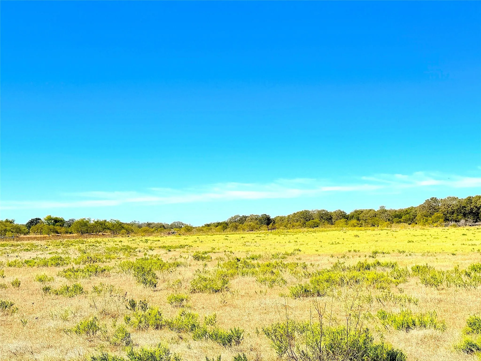 Unimproved Land For Sale in Palo Pinto County , TBD Tract 1 Hayes Road, Mineral Wells, Texas 76067, 0, 0, Garage spaces, 0 Sqft, built in 0, mls#21203504, Real Estate Agent in Mineral Wells, Homes For Sale in Palo Pinto county, Homes For Sale in Mineral Wells, Realtor in Mineral Wells Texas, Real Estate Brokerage Independent Realty Texas, Luminita Cordes Realtor
