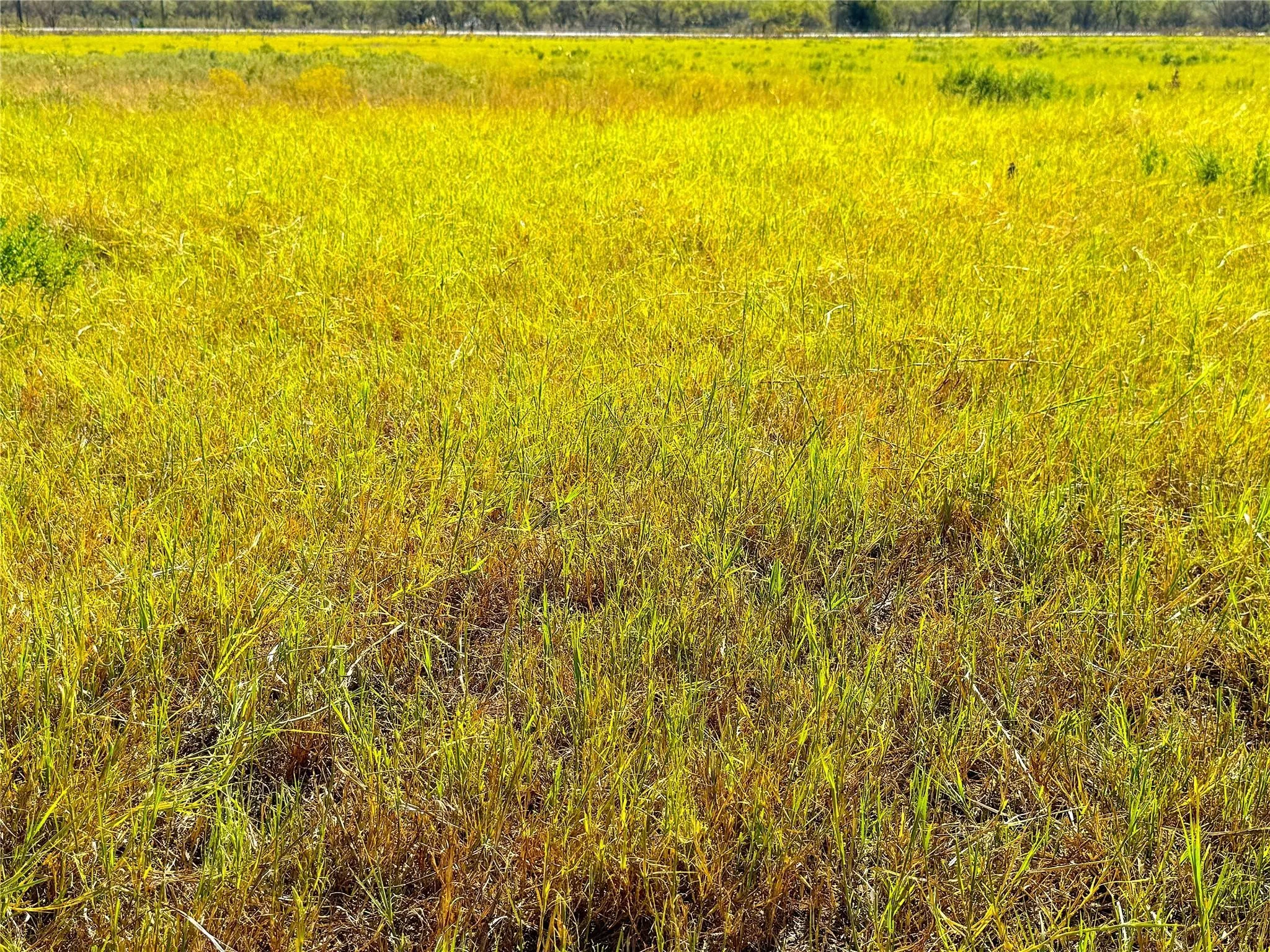 Unimproved Land For Sale in Palo Pinto County , TBD Tract 1 Hayes Road, Mineral Wells, Texas 76067, 0, 0, Garage spaces, 0 Sqft, built in 0, mls#21203504, Real Estate Agent in Mineral Wells, Homes For Sale in Palo Pinto county, Homes For Sale in Mineral Wells, Realtor in Mineral Wells Texas, Real Estate Brokerage Independent Realty Texas, Luminita Cordes Realtor