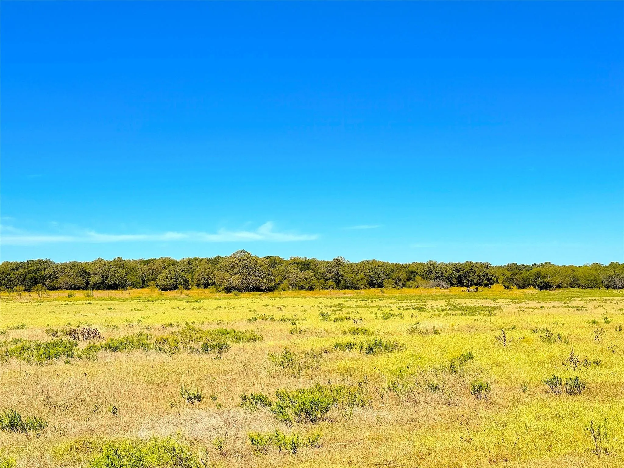 Unimproved Land For Sale in Palo Pinto County , TBD Tract 1 Hayes Road, Mineral Wells, Texas 76067, 0, 0, Garage spaces, 0 Sqft, built in 0, mls#21203504, Real Estate Agent in Mineral Wells, Homes For Sale in Palo Pinto county, Homes For Sale in Mineral Wells, Realtor in Mineral Wells Texas, Real Estate Brokerage Independent Realty Texas, Luminita Cordes Realtor