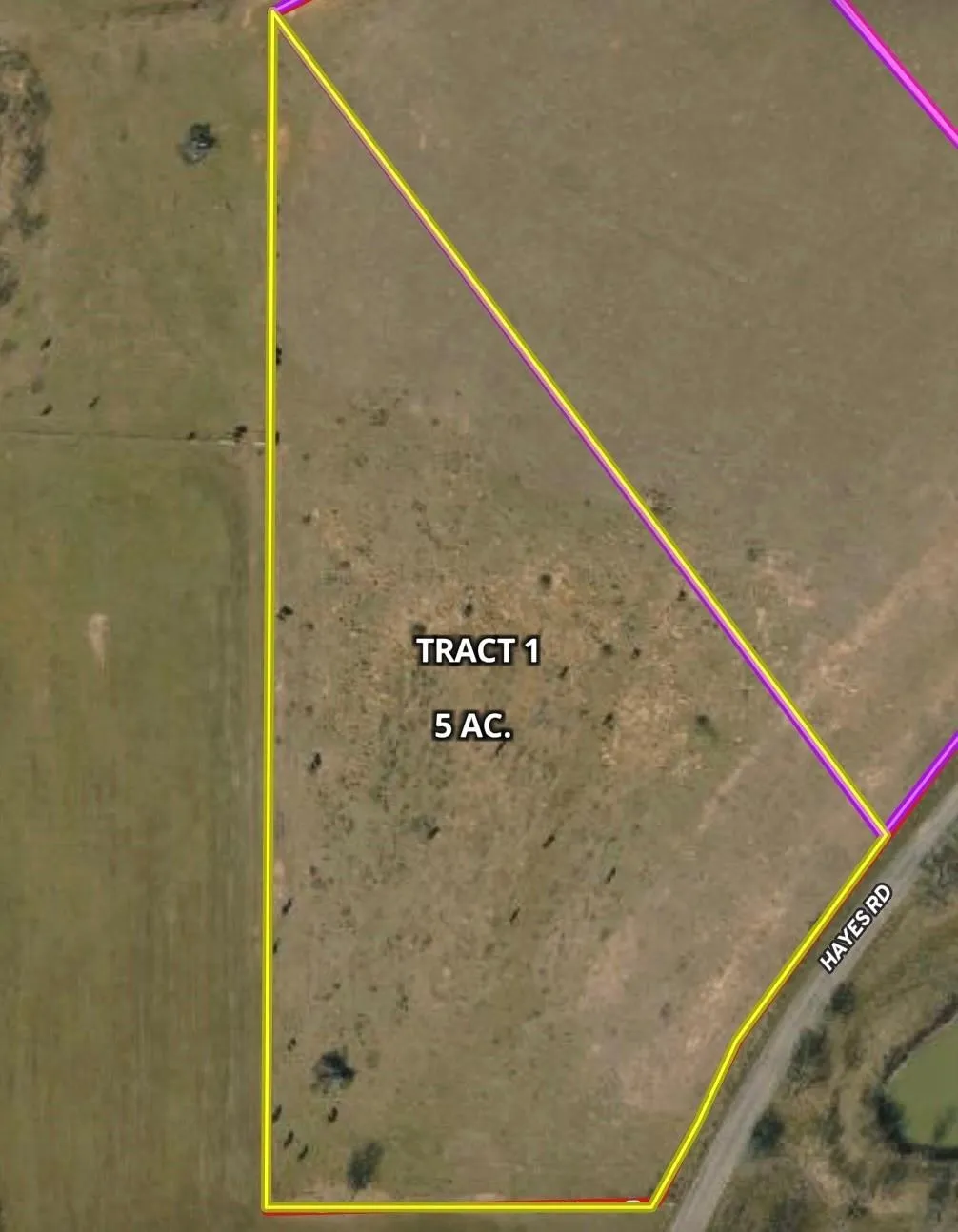 Unimproved Land For Sale in Palo Pinto County , TBD Tract 1 Hayes Road, Mineral Wells, Texas 76067, 0, 0, Garage spaces, 0 Sqft, built in 0, mls#21203504, Real Estate Agent in Mineral Wells, Homes For Sale in Palo Pinto county, Homes For Sale in Mineral Wells, Realtor in Mineral Wells Texas, Real Estate Brokerage Independent Realty Texas, Luminita Cordes Realtor