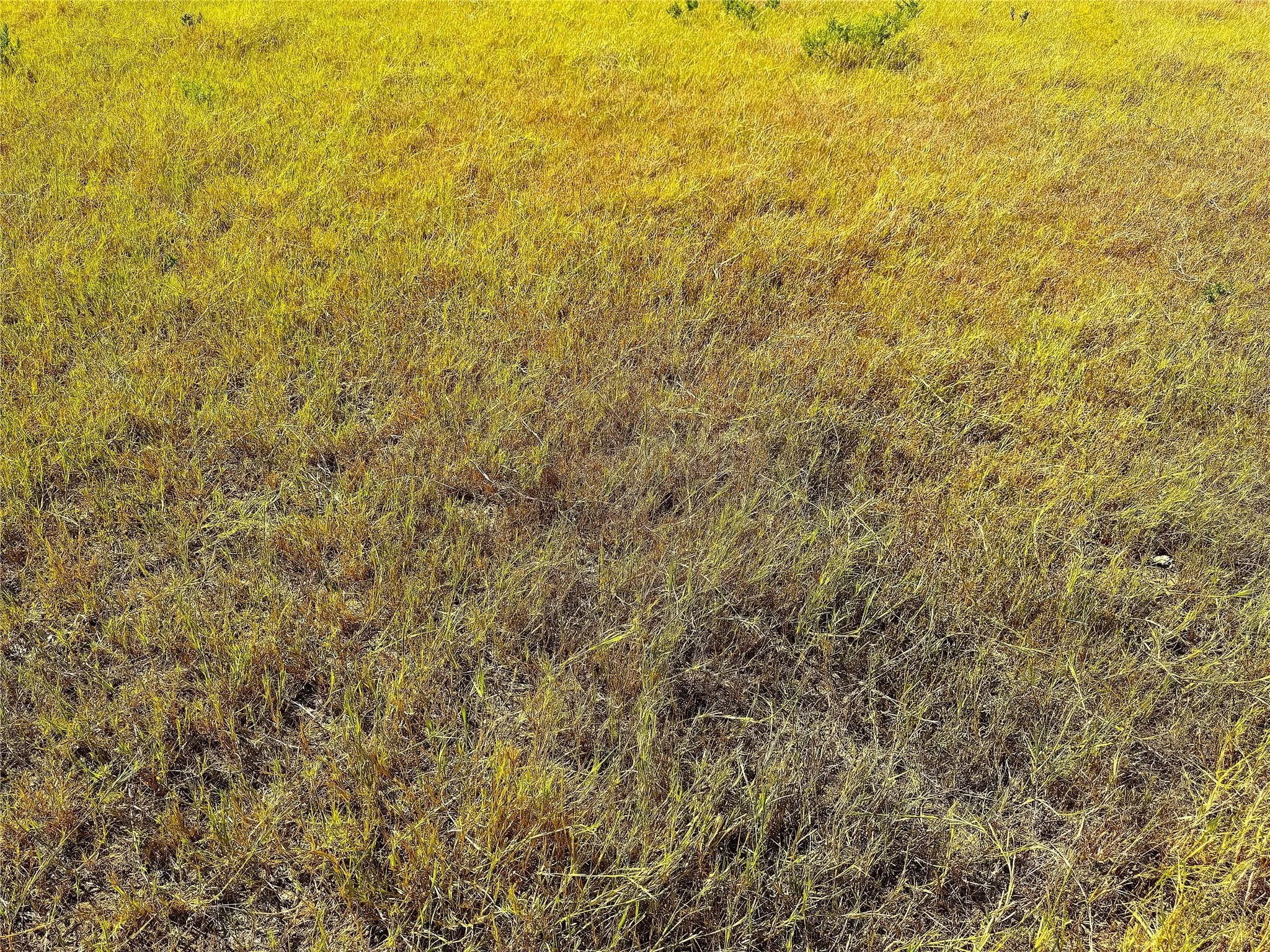 Unimproved Land For Sale in Palo Pinto County , TBD Tract 1 Hayes Road, Mineral Wells, Texas 76067, 0, 0, Garage spaces, 0 Sqft, built in 0, mls#21203504, Real Estate Agent in Mineral Wells, Homes For Sale in Palo Pinto county, Homes For Sale in Mineral Wells, Realtor in Mineral Wells Texas, Real Estate Brokerage Independent Realty Texas, Luminita Cordes Realtor