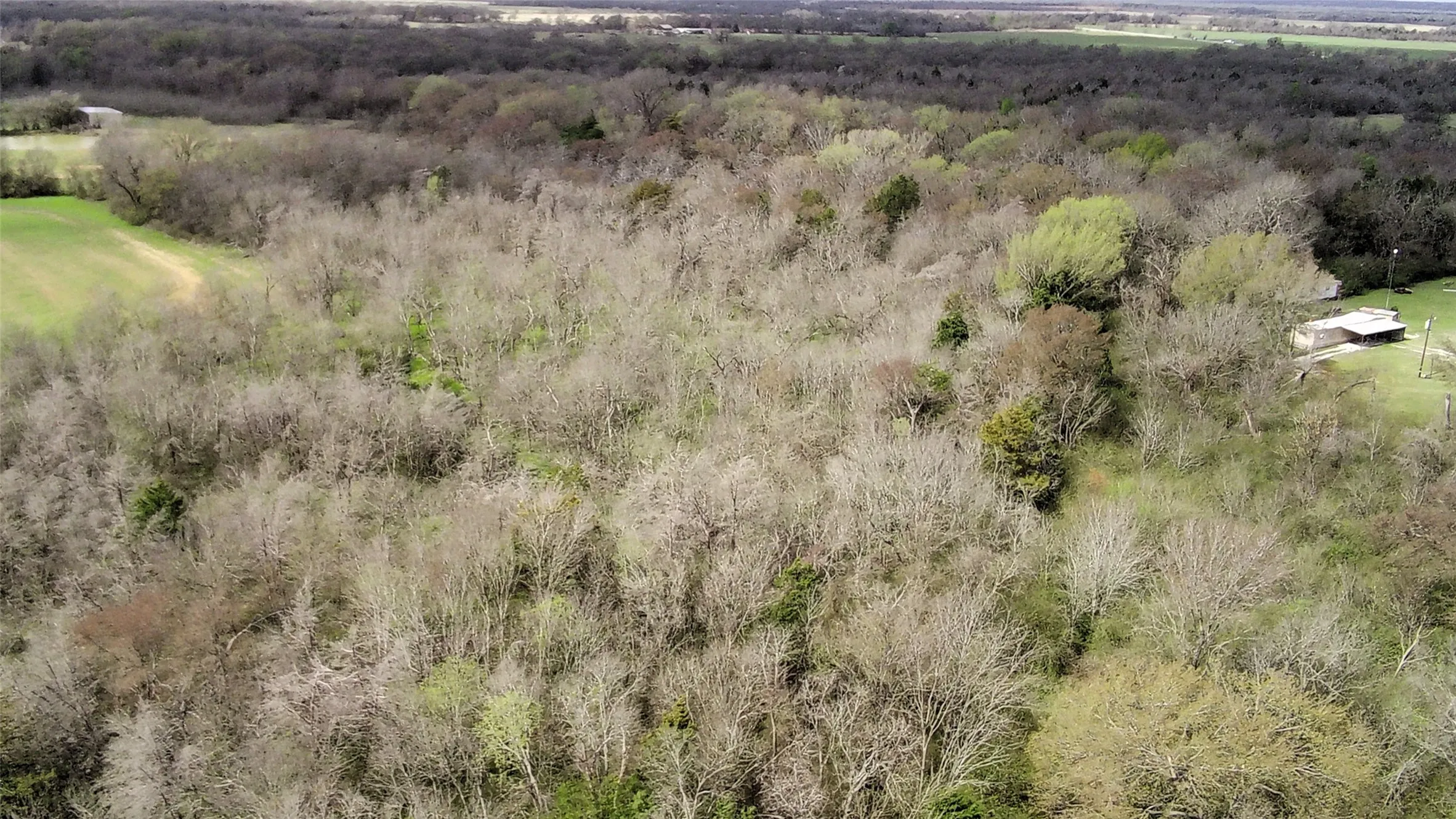 Unimproved Land For Sale in Limestone County , TBD County Road 666, Kosse, Texas 76653, 0, 0, Garage spaces, 0 Sqft, built in 0, mls#21201487, Real Estate Agent in Kosse, Homes For Sale in Limestone county, Homes For Sale in Kosse, Realtor in Kosse Texas, Real Estate Brokerage Independent Realty Texas, Luminita Cordes Realtor