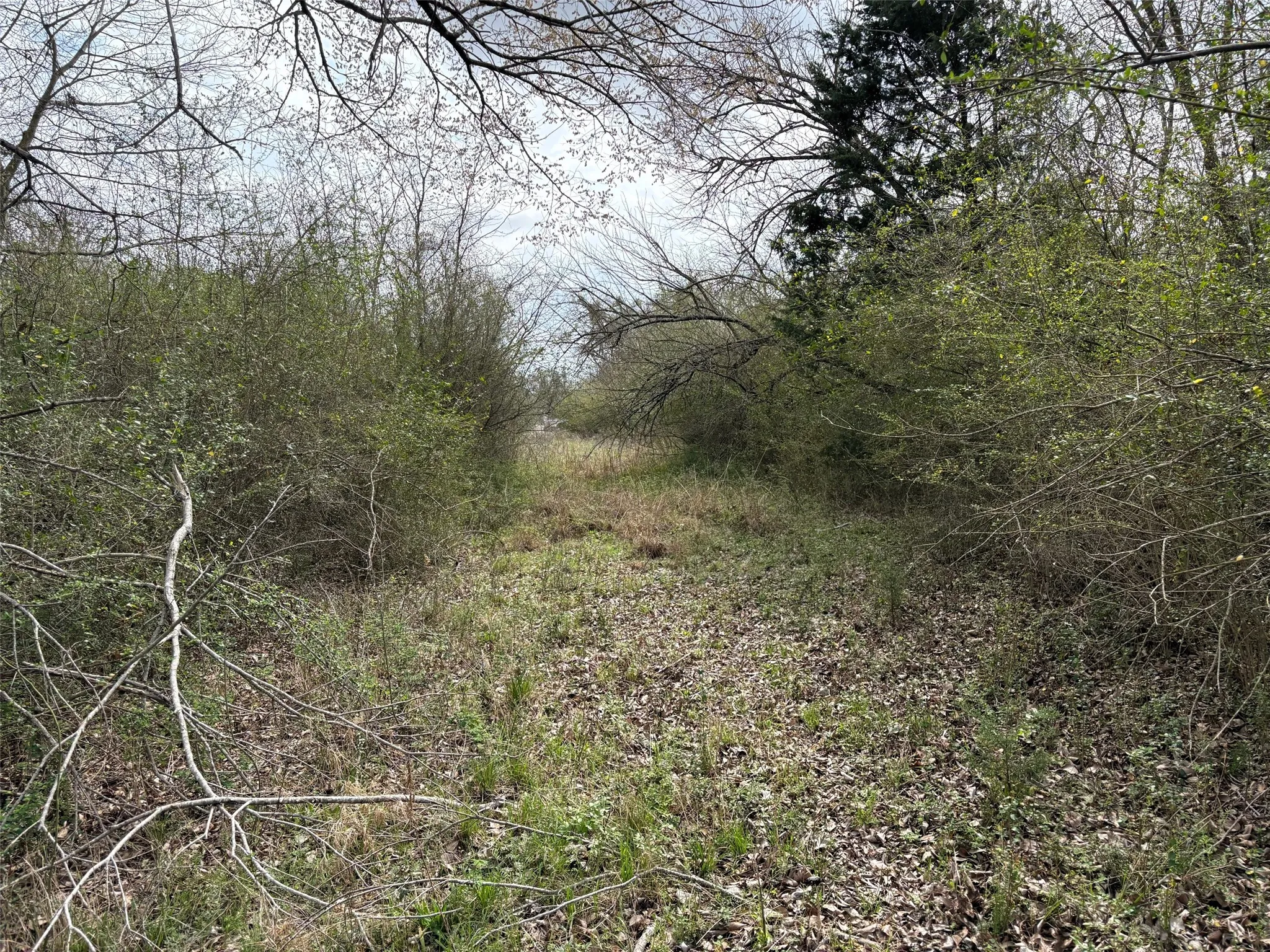 Unimproved Land For Sale in Limestone County , TBD County Road 666, Kosse, Texas 76653, 0, 0, Garage spaces, 0 Sqft, built in 0, mls#21201487, Real Estate Agent in Kosse, Homes For Sale in Limestone county, Homes For Sale in Kosse, Realtor in Kosse Texas, Real Estate Brokerage Independent Realty Texas, Luminita Cordes Realtor