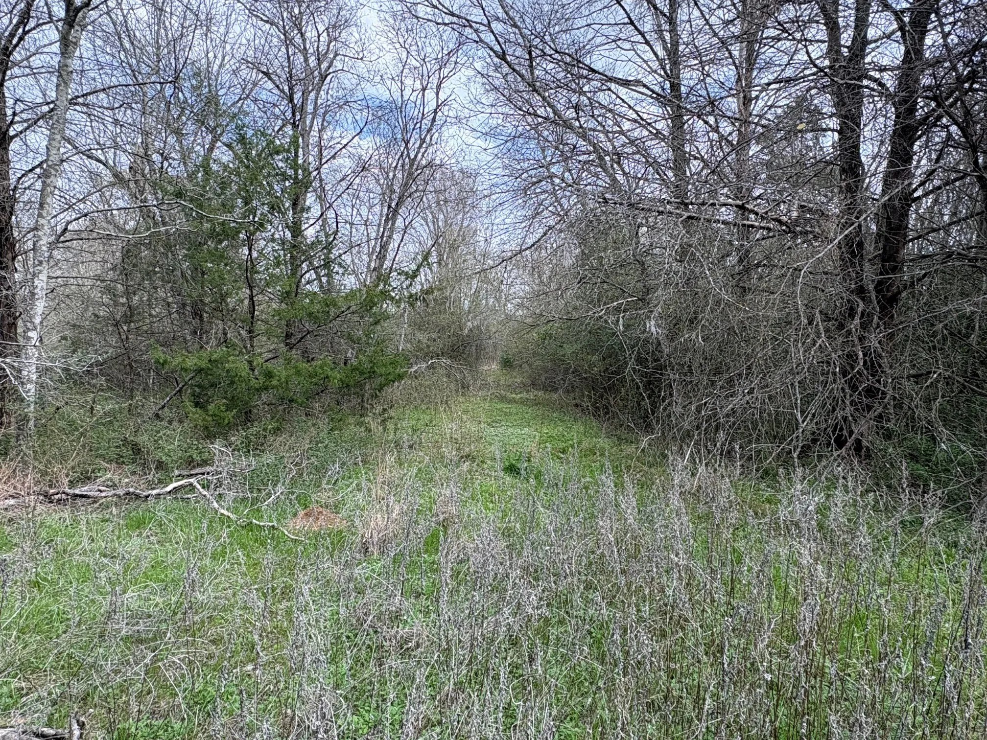 Unimproved Land For Sale in Limestone County , TBD County Road 666, Kosse, Texas 76653, 0, 0, Garage spaces, 0 Sqft, built in 0, mls#21201487, Real Estate Agent in Kosse, Homes For Sale in Limestone county, Homes For Sale in Kosse, Realtor in Kosse Texas, Real Estate Brokerage Independent Realty Texas, Luminita Cordes Realtor
