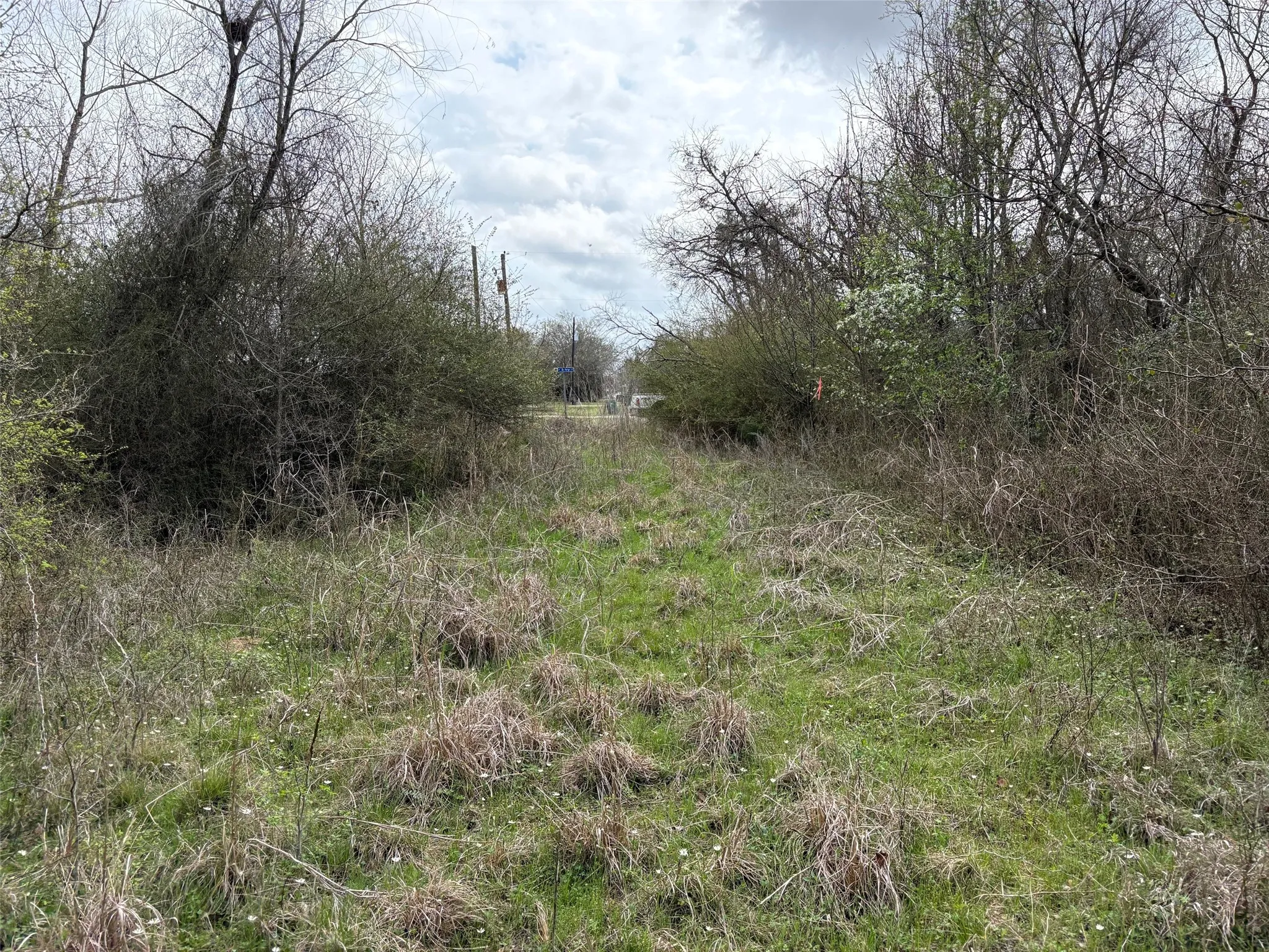 Unimproved Land For Sale in Limestone County , TBD County Road 666, Kosse, Texas 76653, 0, 0, Garage spaces, 0 Sqft, built in 0, mls#21201487, Real Estate Agent in Kosse, Homes For Sale in Limestone county, Homes For Sale in Kosse, Realtor in Kosse Texas, Real Estate Brokerage Independent Realty Texas, Luminita Cordes Realtor