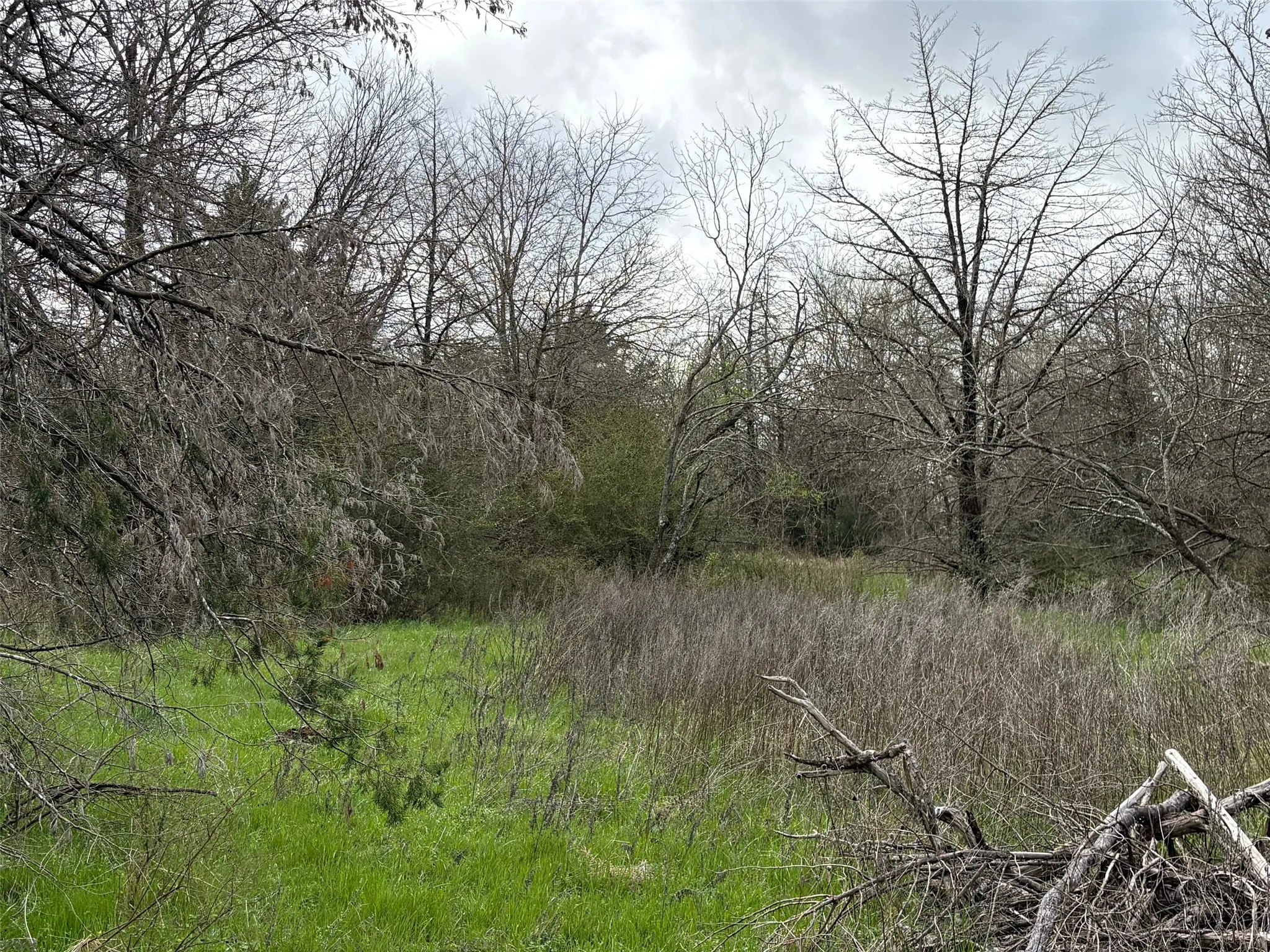 Unimproved Land For Sale in Limestone County , TBD County Road 666, Kosse, Texas 76653, 0, 0, Garage spaces, 0 Sqft, built in 0, mls#21201487, Real Estate Agent in Kosse, Homes For Sale in Limestone county, Homes For Sale in Kosse, Realtor in Kosse Texas, Real Estate Brokerage Independent Realty Texas, Luminita Cordes Realtor