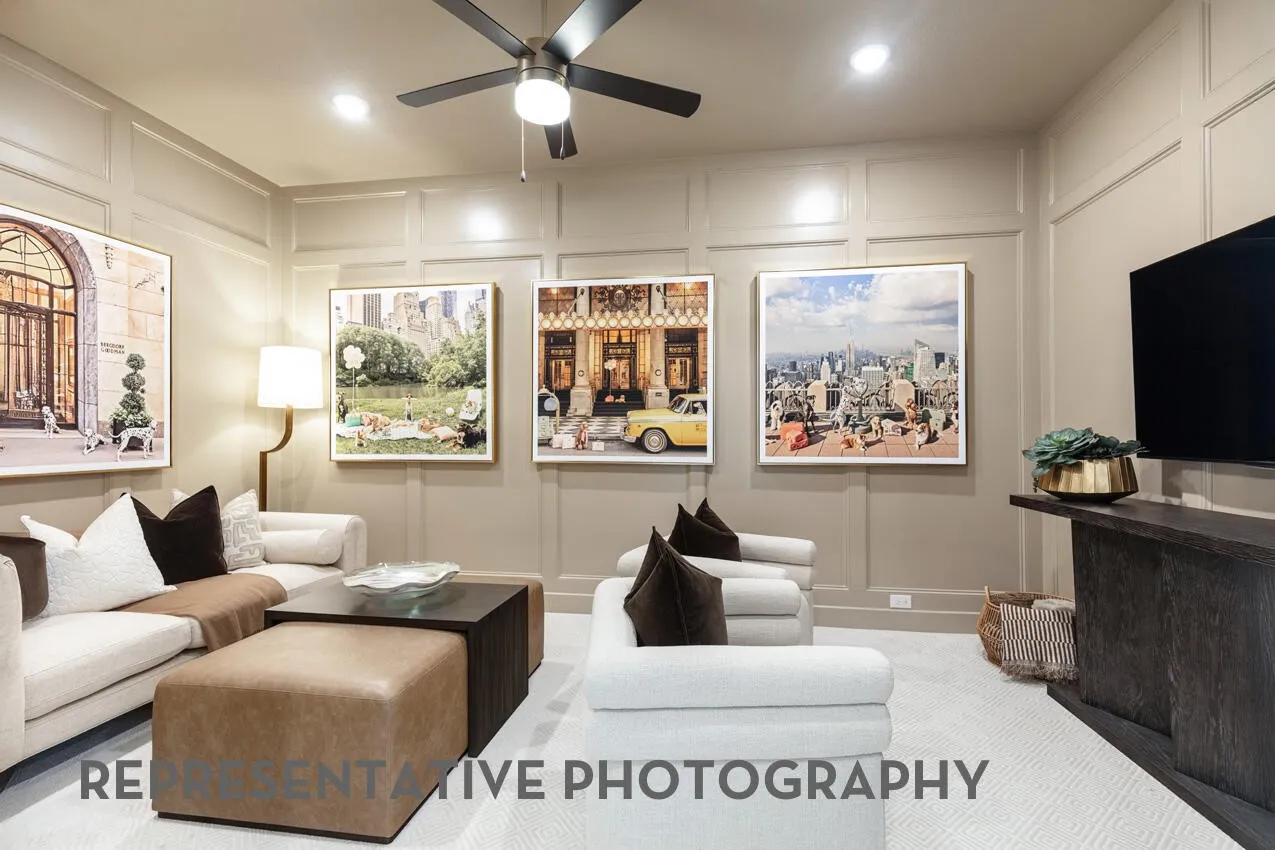 Entertainment Room