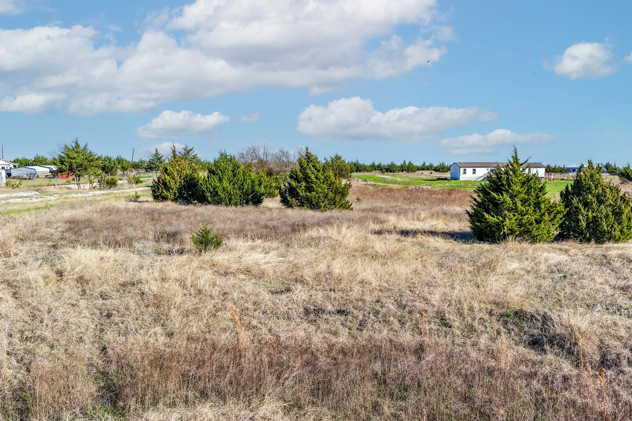 Unimproved Land For Sale in Collin County , 19656 County Road 818, Farmersville, Texas 75442, 0, 0, Garage spaces, 0 Sqft, built in 2001, mls#21202429, Real Estate Agent in Farmersville, Homes For Sale in Collin county, Homes For Sale in Farmersville, Realtor in Farmersville Texas, Real Estate Brokerage Independent Realty Texas, Luminita Cordes Realtor