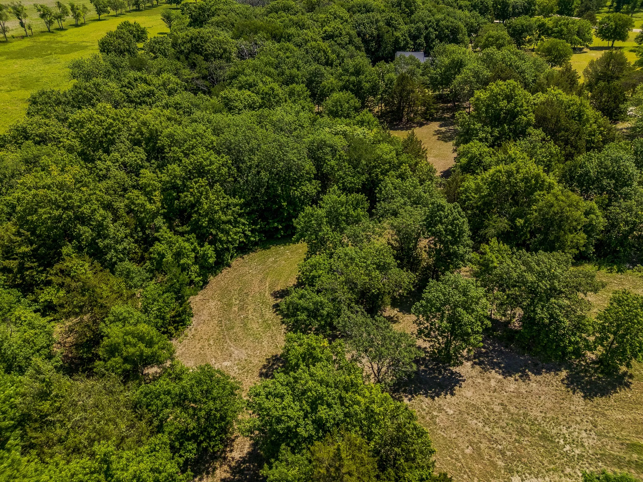 Single Family Residence For Sale in Grayson County , 1878 N Lincoln Park Road, Van Alstyne, Texas 75495, 3 Bedrooms, 3 Bathrooms, 2 Garage spaces, 2,153 Sqft, built in 2003, Preowned, Price $1,098,000, mls#21198483, Real Estate Agent in Van Alstyne, Homes For Sale in Grayson county, Homes For Sale in Van Alstyne, Realtor in Van Alstyne Texas, Real Estate Brokerage Independent Realty Texas, Luminita Cordes Realtor