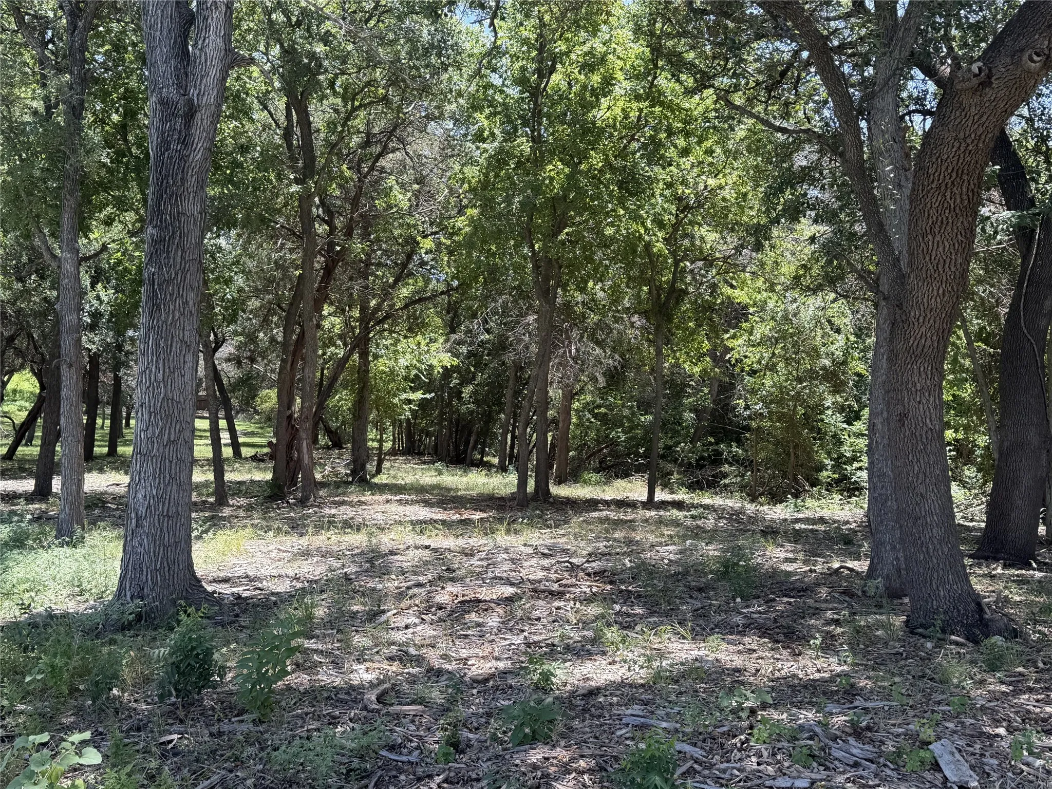 Property view looking back toward house form the lake