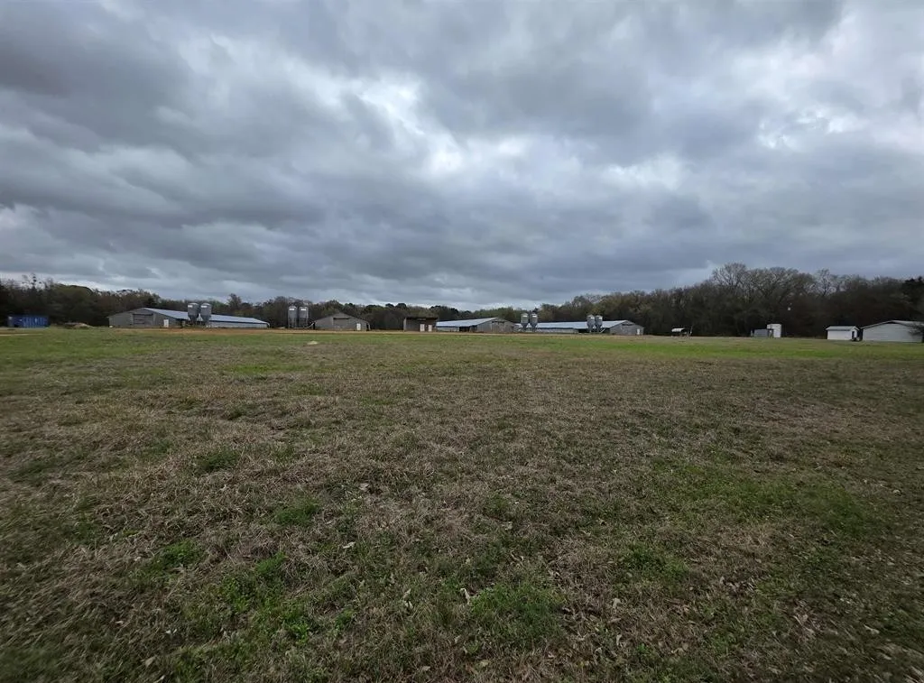 Farm For Sale in Upshur County , 1886 Opossum Rd, Pittsburg, Texas 75686, 4 Bedroom, 2 Bathroom, Garage spaces, 1,512 Sqft, built in 1987, mls#21204103, Real Estate Agent in Pittsburg, Homes For Sale in Upshur county, Homes For Sale in Pittsburg, Realtor in Pittsburg Texas, Real Estate Brokerage Independent Realty Texas, Luminita Cordes Realtor