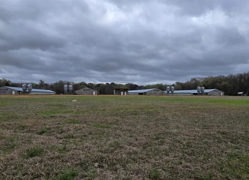 Farm For Sale in Upshur County , 1886 Opossum Rd, Pittsburg, Texas 75686, 4 Bedroom, 2 Bathroom, Garage spaces, 1,512 Sqft, built in 1987, mls#21204103, Real Estate Agent in Pittsburg, Homes For Sale in Upshur county, Homes For Sale in Pittsburg, Realtor in Pittsburg Texas, Real Estate Brokerage Independent Realty Texas, Luminita Cordes Realtor