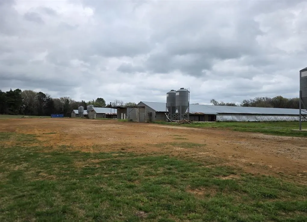 Farm For Sale in Upshur County , 1886 Opossum Rd, Pittsburg, Texas 75686, 4 Bedroom, 2 Bathroom, Garage spaces, 1,512 Sqft, built in 1987, mls#21204103, Real Estate Agent in Pittsburg, Homes For Sale in Upshur county, Homes For Sale in Pittsburg, Realtor in Pittsburg Texas, Real Estate Brokerage Independent Realty Texas, Luminita Cordes Realtor