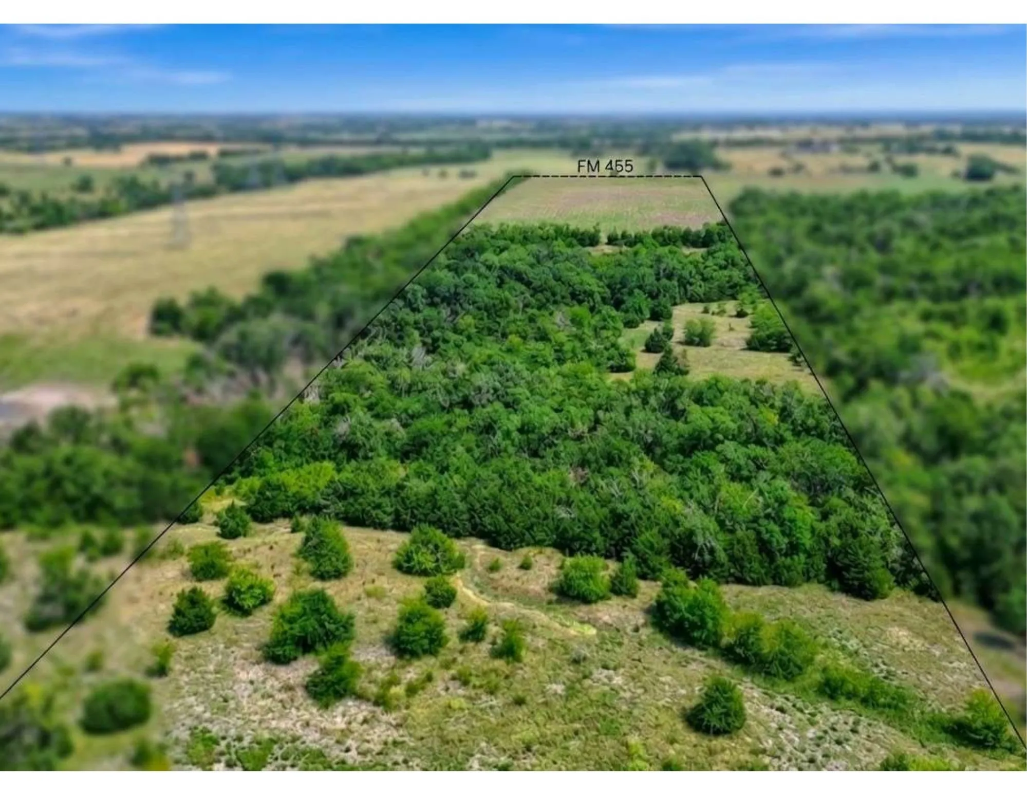Back end of 51 acres