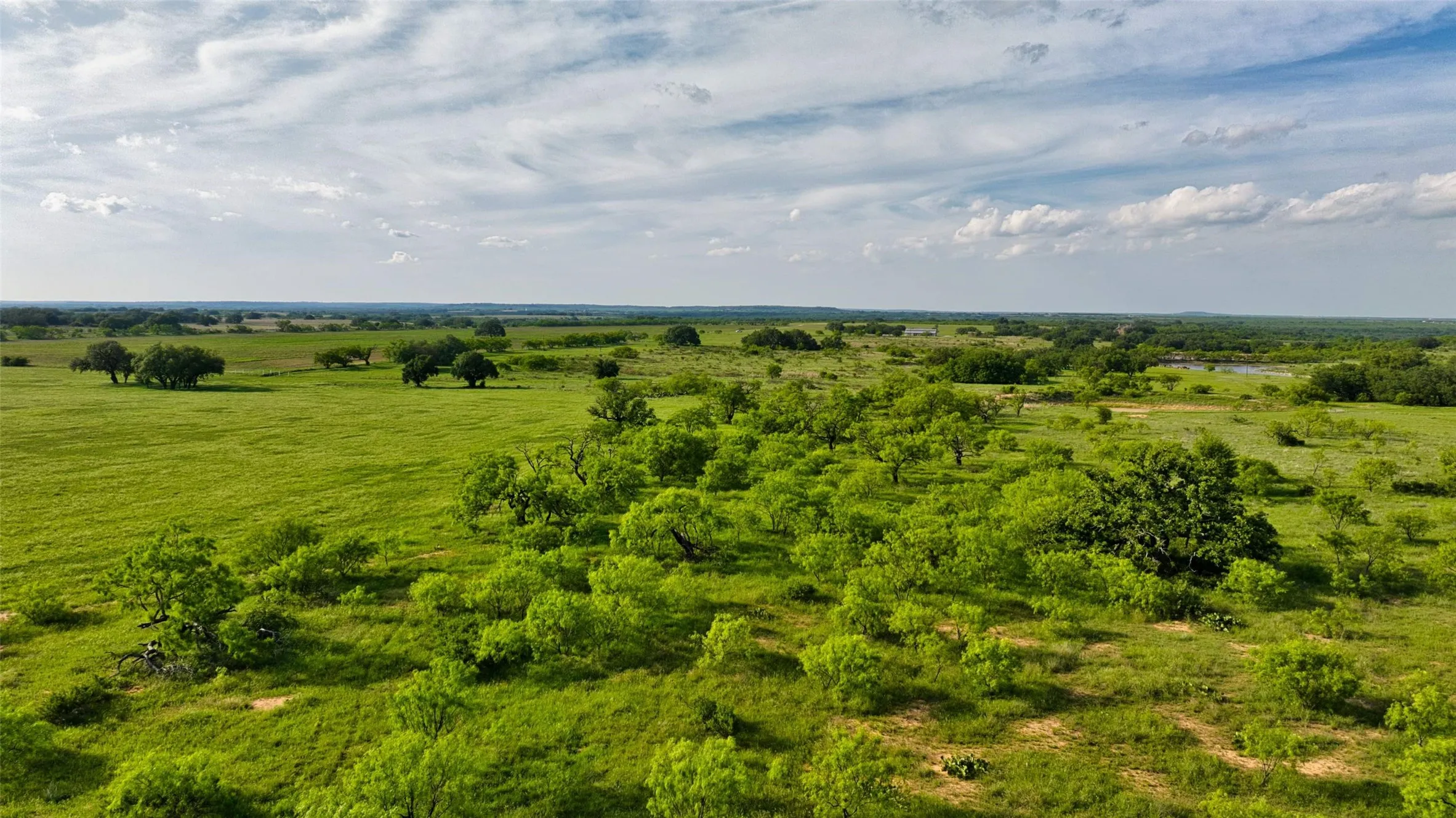 Expansive green landscape featuring varied tree cover and open fields under a spacious sky