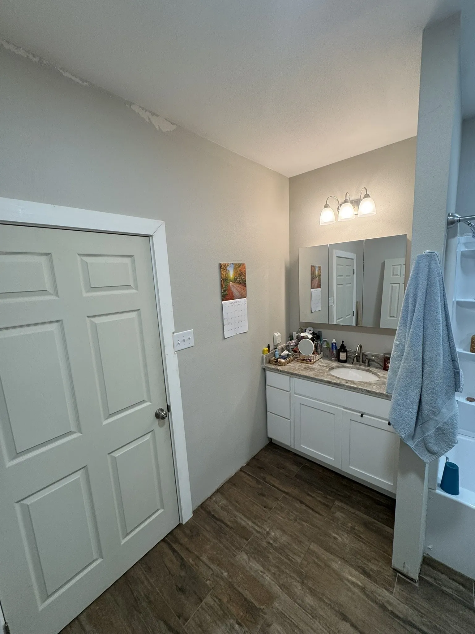 Bathroom featuring vanity and dark wood-style floors