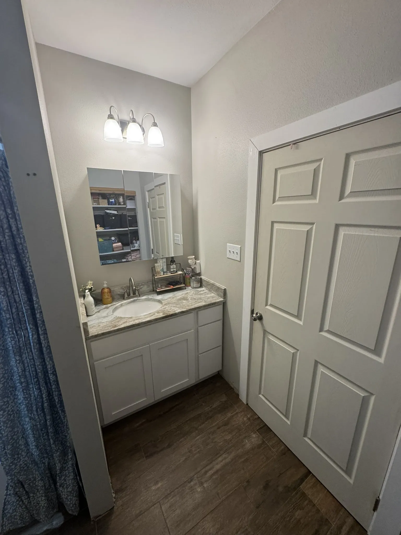 Bathroom with vanity, dark wood-type flooring, and a shower with shower curtain