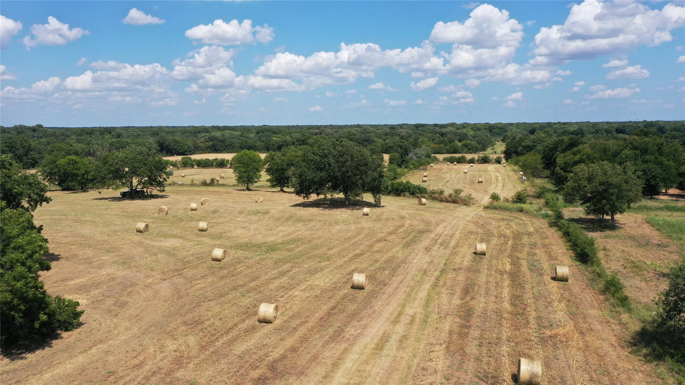 Farm For Sale in Hunt County , 2238 County Road 1081, Greenville, Texas 75401, 4 Bedroom, 3 Bathroom, Garage spaces, 3,150 Sqft, built in 2023, Price $2,375,000, mls#21204310, Real Estate Agent in Greenville, Homes For Sale in Hunt county, Homes For Sale in Greenville, Realtor in Greenville Texas, Real Estate Brokerage Independent Realty Texas, Luminita Cordes Realtor