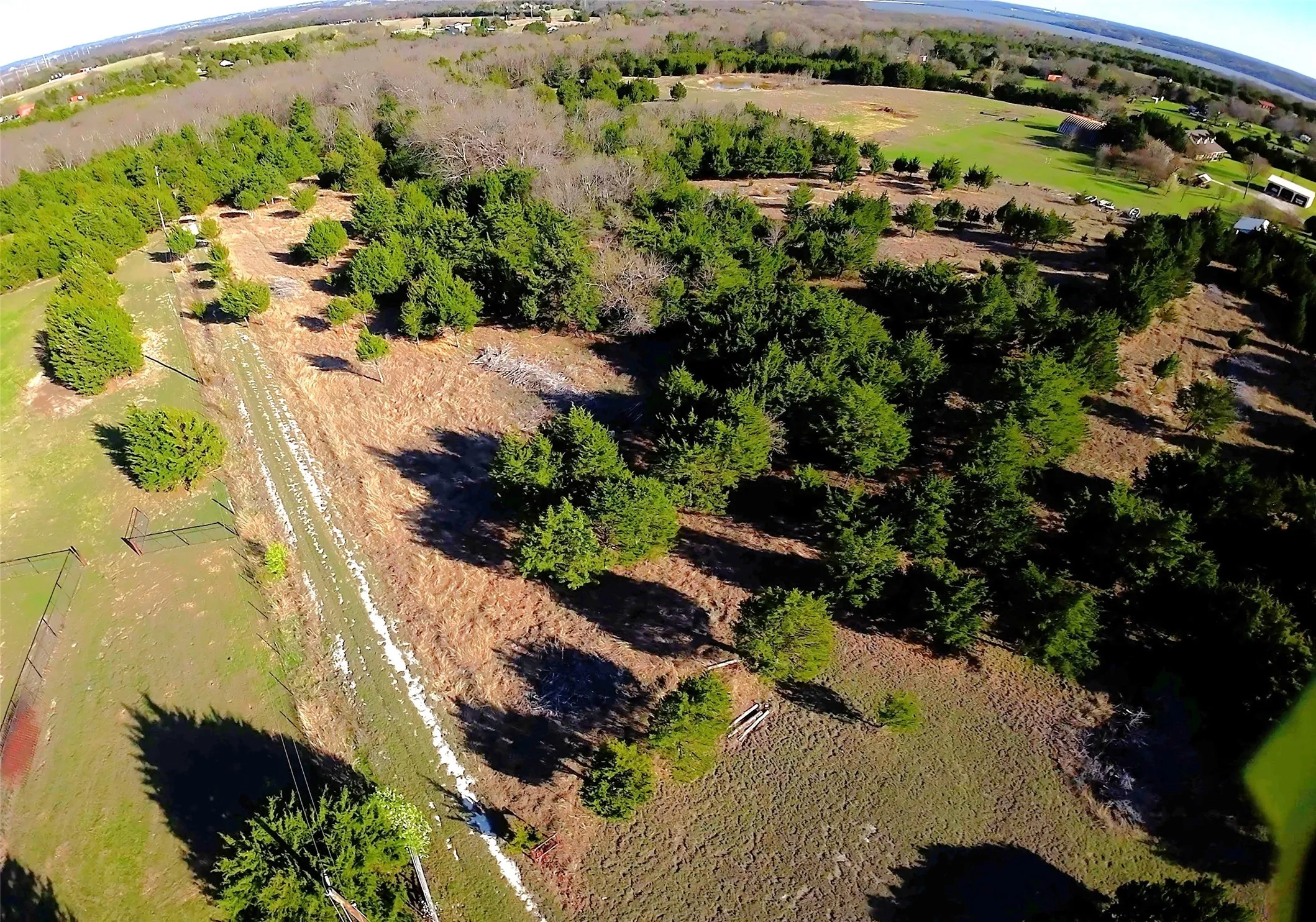 Unimproved Land For Sale in Collin County , 11193 Cr-496, Princeton, Texas 75407, 0, 0, Garage spaces, 0 Sqft, built in 0, Price $1,000,000, mls#21204371, Real Estate Agent in Princeton, Homes For Sale in Collin county, Homes For Sale in Princeton, Realtor in Princeton Texas, Real Estate Brokerage Independent Realty Texas, Luminita Cordes Realtor