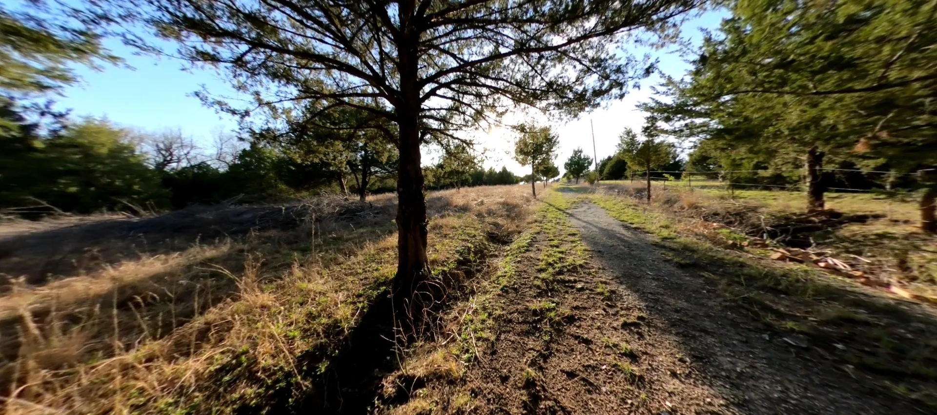 Unimproved Land For Sale in Collin County , 11193 Cr-496, Princeton, Texas 75407, 0, 0, Garage spaces, 0 Sqft, built in 0, Price $1,000,000, mls#21204371, Real Estate Agent in Princeton, Homes For Sale in Collin county, Homes For Sale in Princeton, Realtor in Princeton Texas, Real Estate Brokerage Independent Realty Texas, Luminita Cordes Realtor