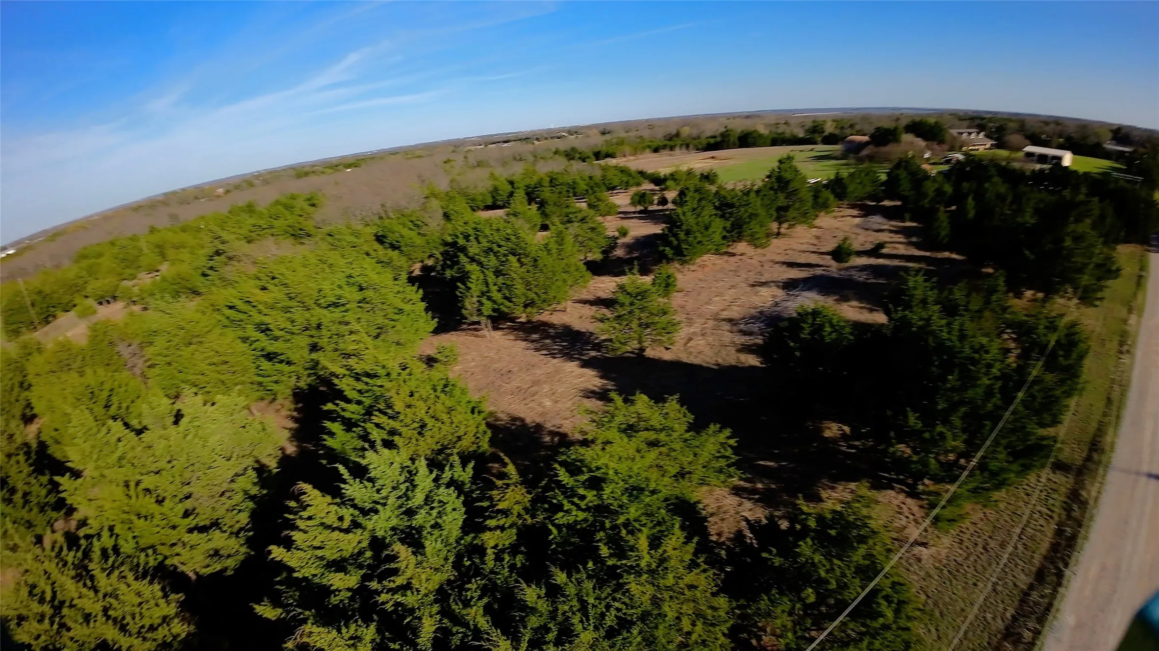 Unimproved Land For Sale in Collin County , 11193 Cr-496, Princeton, Texas 75407, 0, 0, Garage spaces, 0 Sqft, built in 0, Price $1,000,000, mls#21204371, Real Estate Agent in Princeton, Homes For Sale in Collin county, Homes For Sale in Princeton, Realtor in Princeton Texas, Real Estate Brokerage Independent Realty Texas, Luminita Cordes Realtor