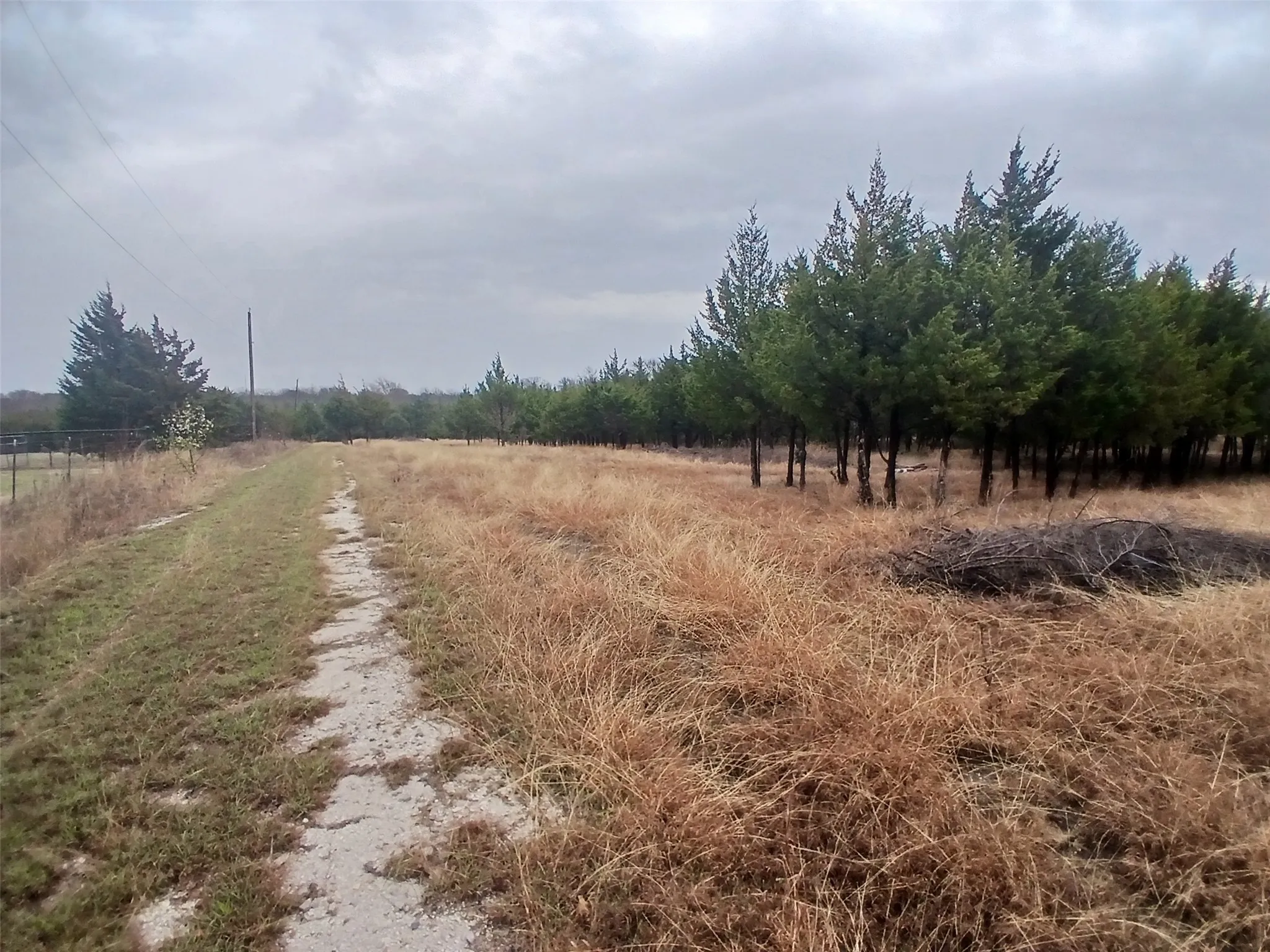 Unimproved Land For Sale in Collin County , 11193 Cr-496, Princeton, Texas 75407, 0, 0, Garage spaces, 0 Sqft, built in 0, Price $1,000,000, mls#21204371, Real Estate Agent in Princeton, Homes For Sale in Collin county, Homes For Sale in Princeton, Realtor in Princeton Texas, Real Estate Brokerage Independent Realty Texas, Luminita Cordes Realtor