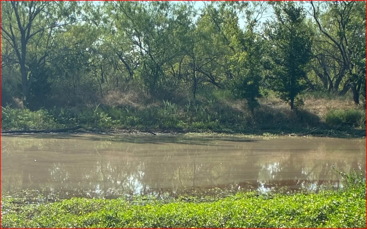 Largest stock Pond