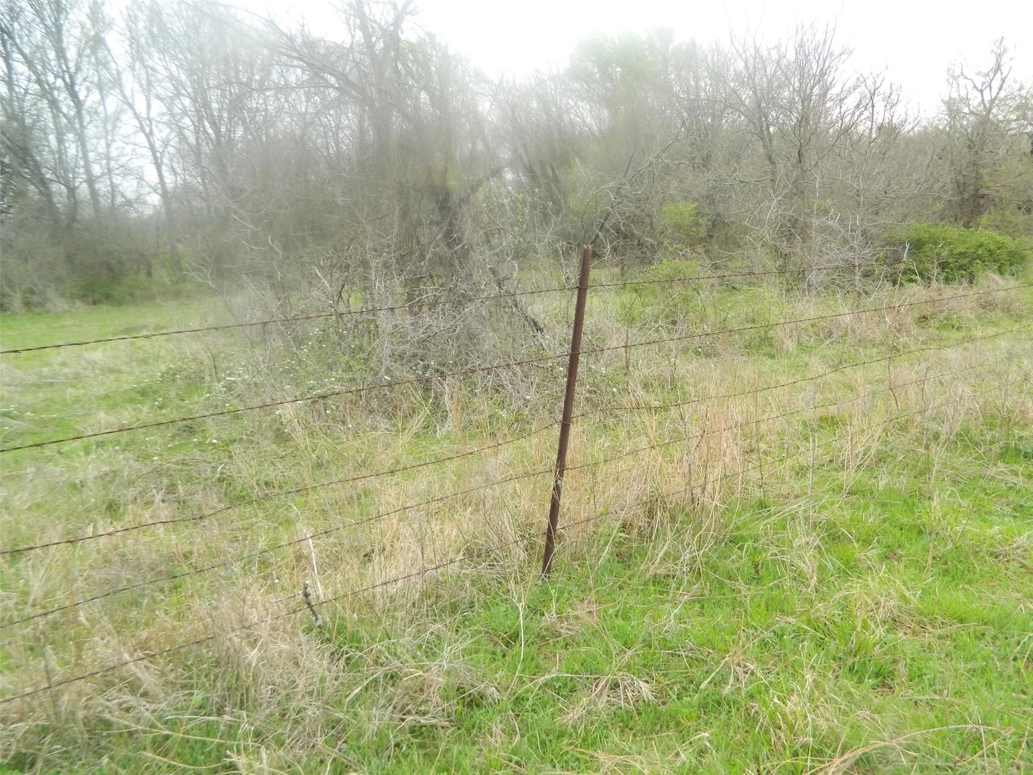 Fence on east side