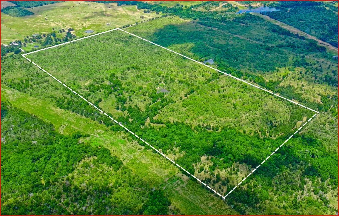 Ranch For Sale in Freestone County , TBD FCR 995, Wortham, Texas 76693, 0, 0, Garage spaces, 0 Sqft, built in 0, Price $488,374, mls#21202564, Real Estate Agent in Wortham, Homes For Sale in Freestone county, Homes For Sale in Wortham, Realtor in Wortham Texas, Real Estate Brokerage Independent Realty Texas, Luminita Cordes Realtor