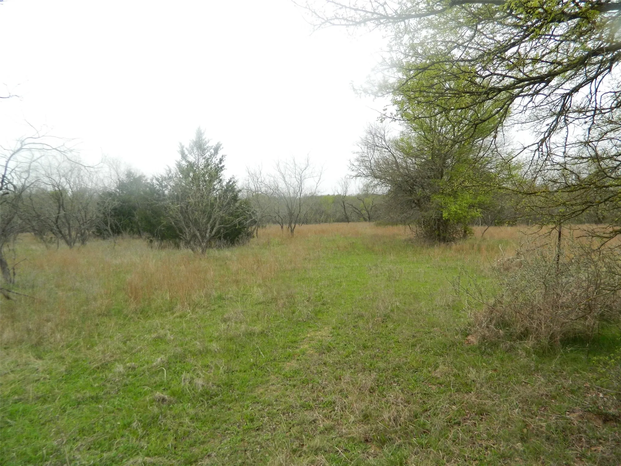 Ranch For Sale in Freestone County , TBD FCR 995, Wortham, Texas 76693, 0, 0, Garage spaces, 0 Sqft, built in 0, Price $488,374, mls#21202564, Real Estate Agent in Wortham, Homes For Sale in Freestone county, Homes For Sale in Wortham, Realtor in Wortham Texas, Real Estate Brokerage Independent Realty Texas, Luminita Cordes Realtor