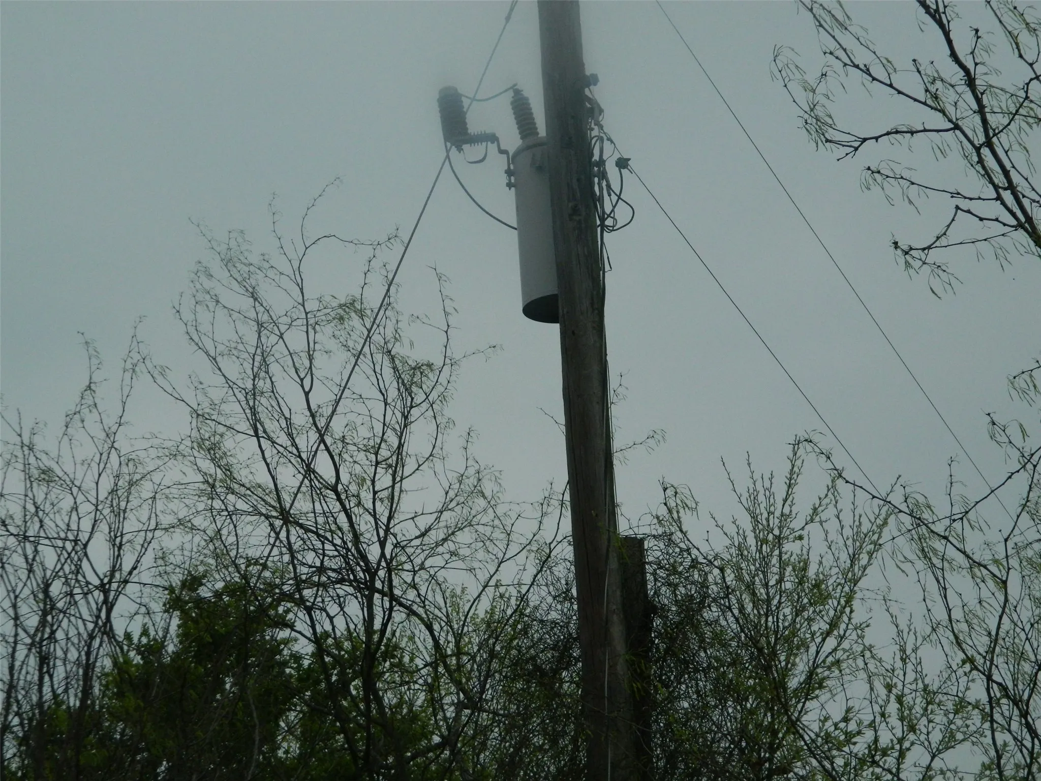 Electrical pole near middle of property.
