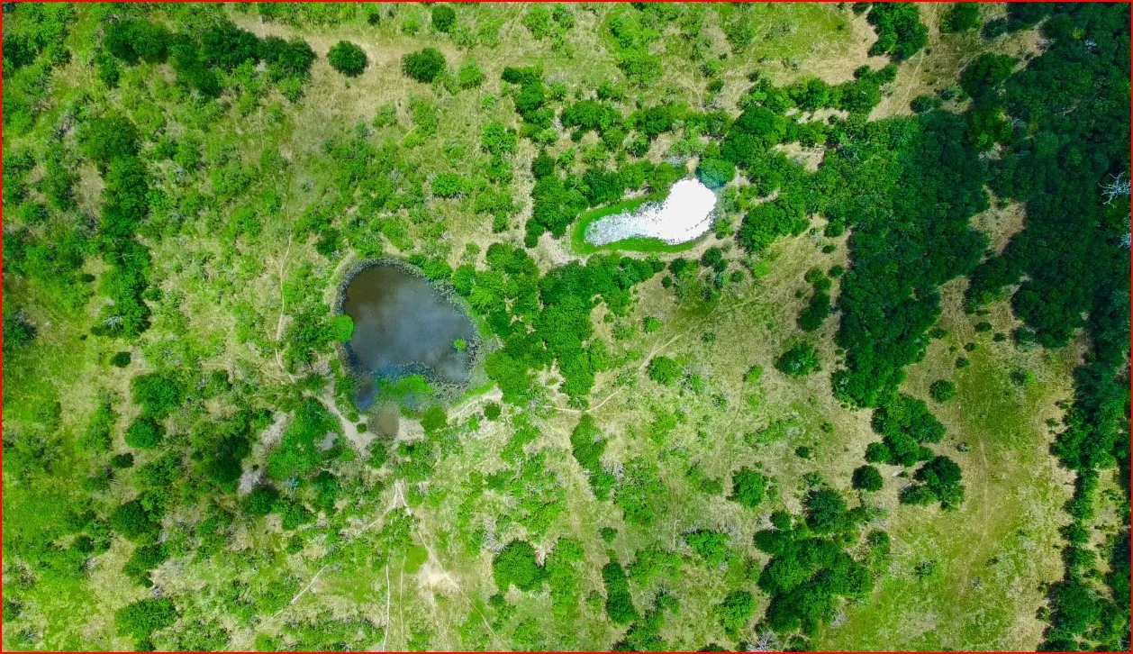 Stock Ponds